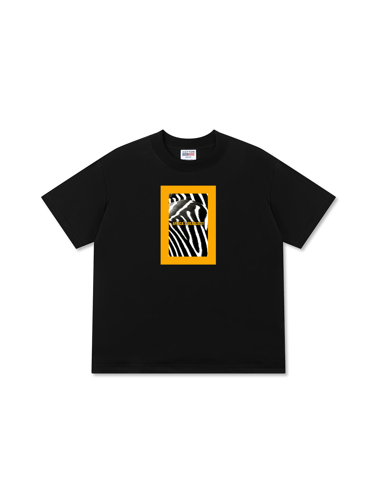 Áo Thun Relaxed Fit Wild Life Zebra Stripes Africa