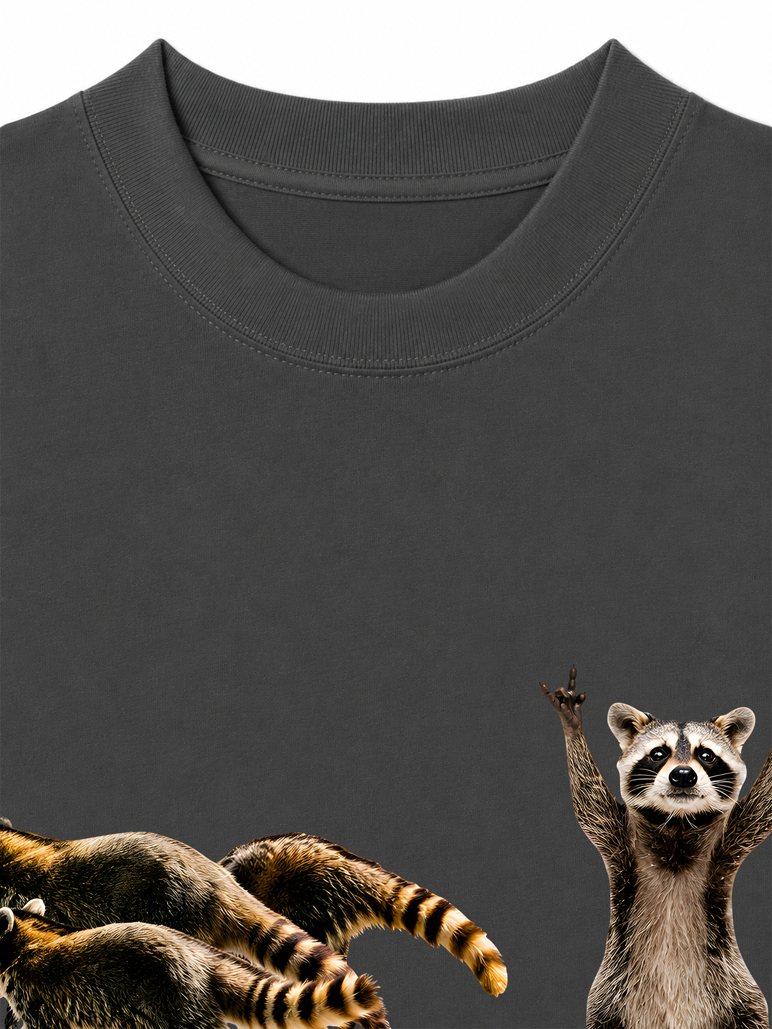 Áo Thun Relaxed Fit I Just Gotta Be Me Raccoon