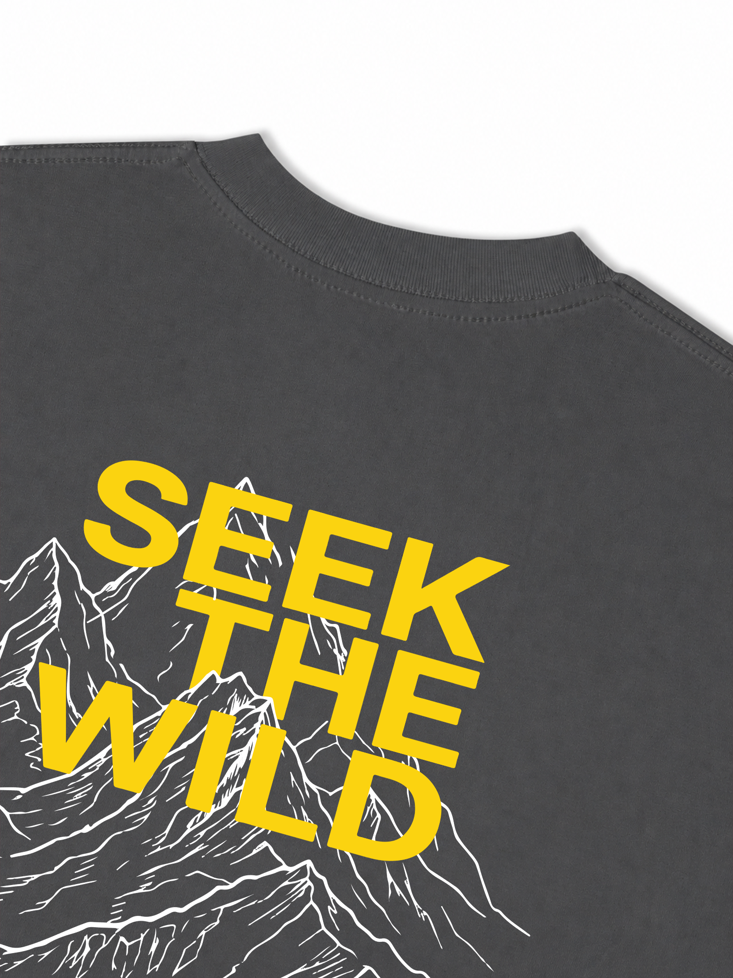 Áo Thun Relaxed Fit Adventure Seek The Wild 2