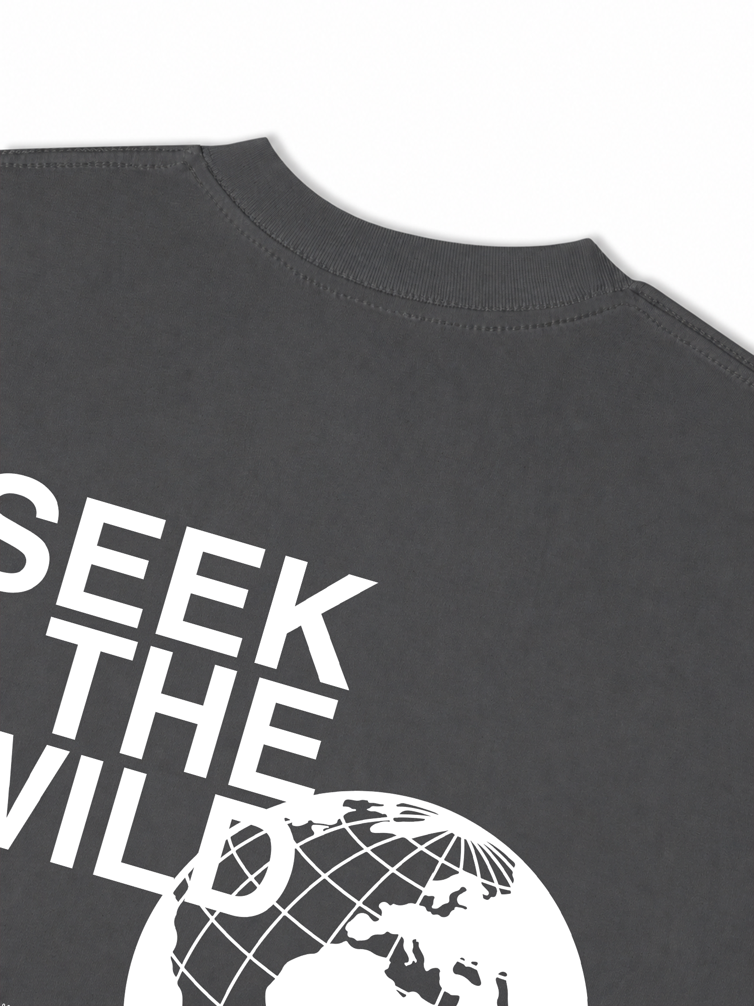 Áo Thun Relaxed Fit Adventure Seek The Wild 16