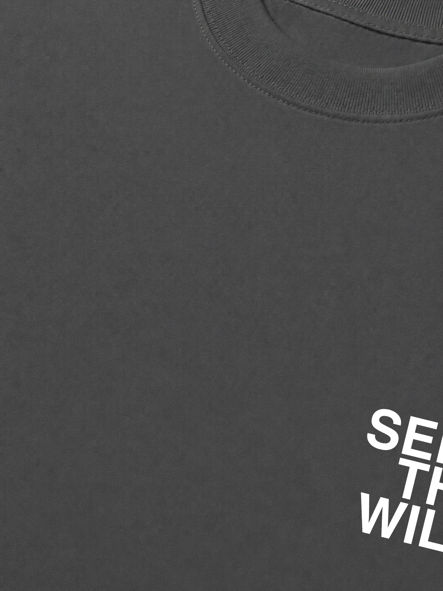 Áo Thun Relaxed Fit Adventure Seek The Wild Never Stop Exploring 6