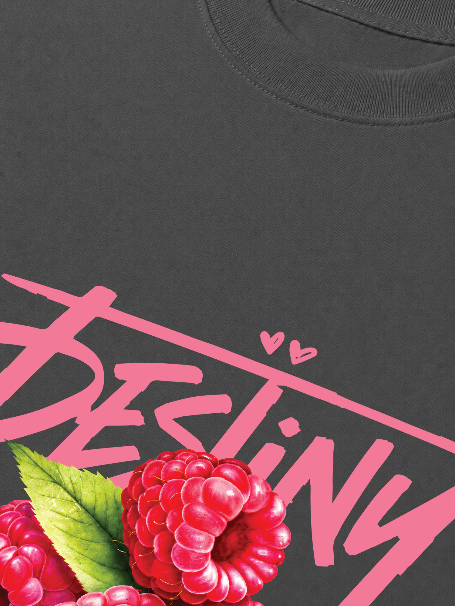 Áo Thun Relaxed Fit Destiny Raspberry