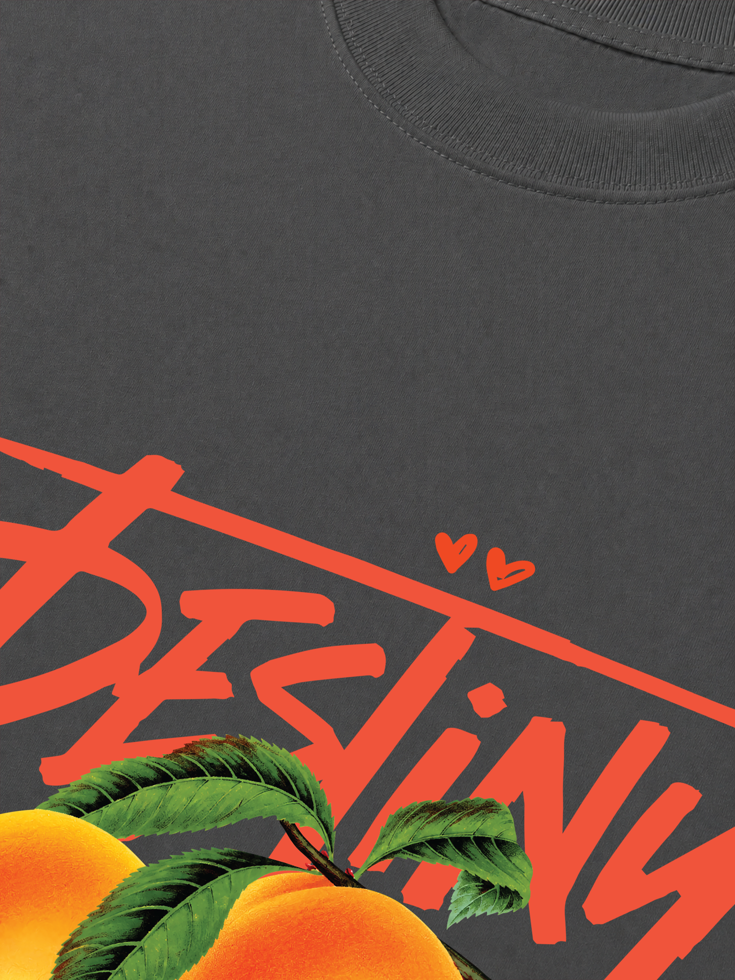 Áo Thun Relaxed Fit Destiny Peachs