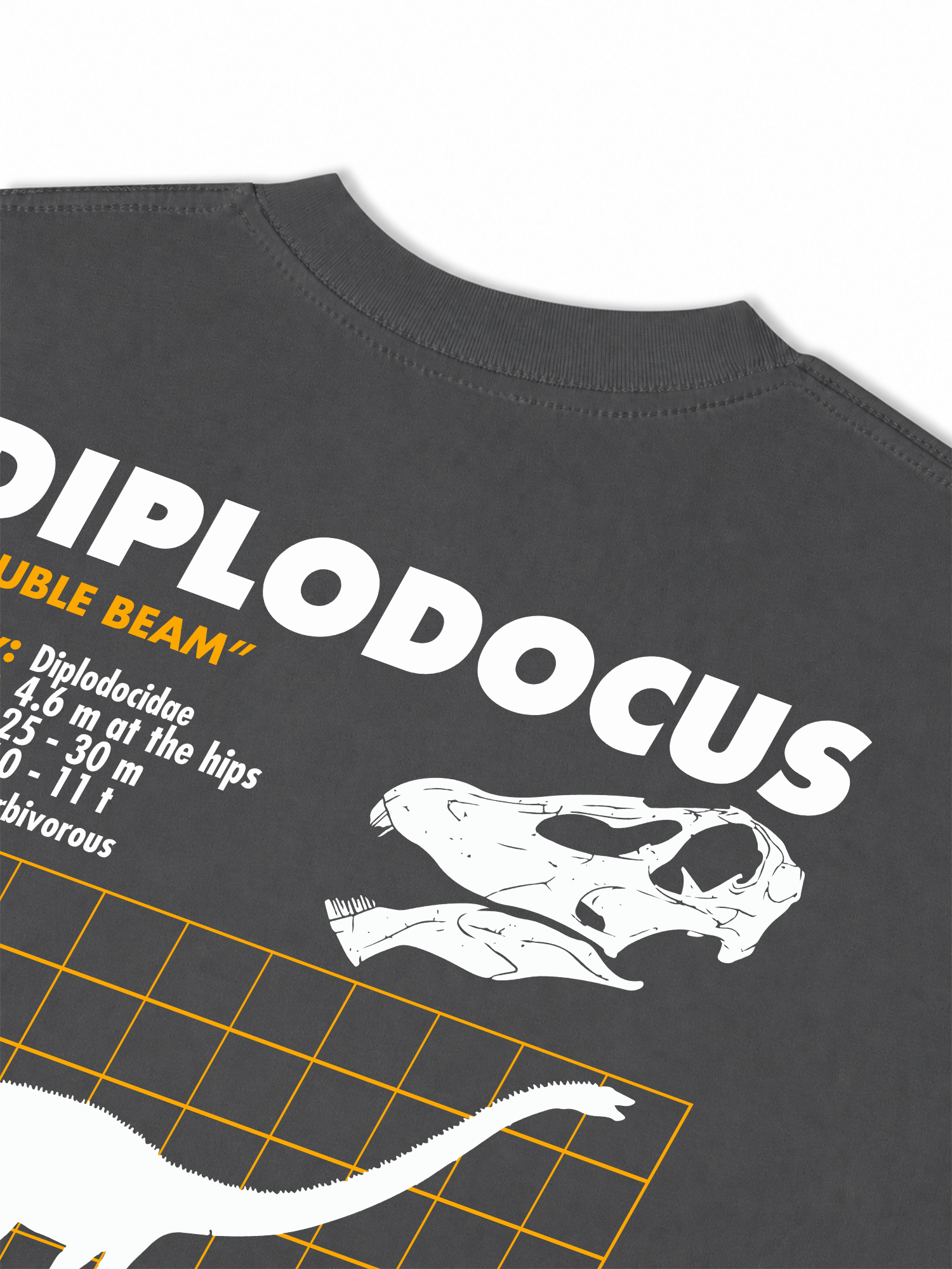 Áo Thun Relaxed Fit Analysis Table Diplodocus
