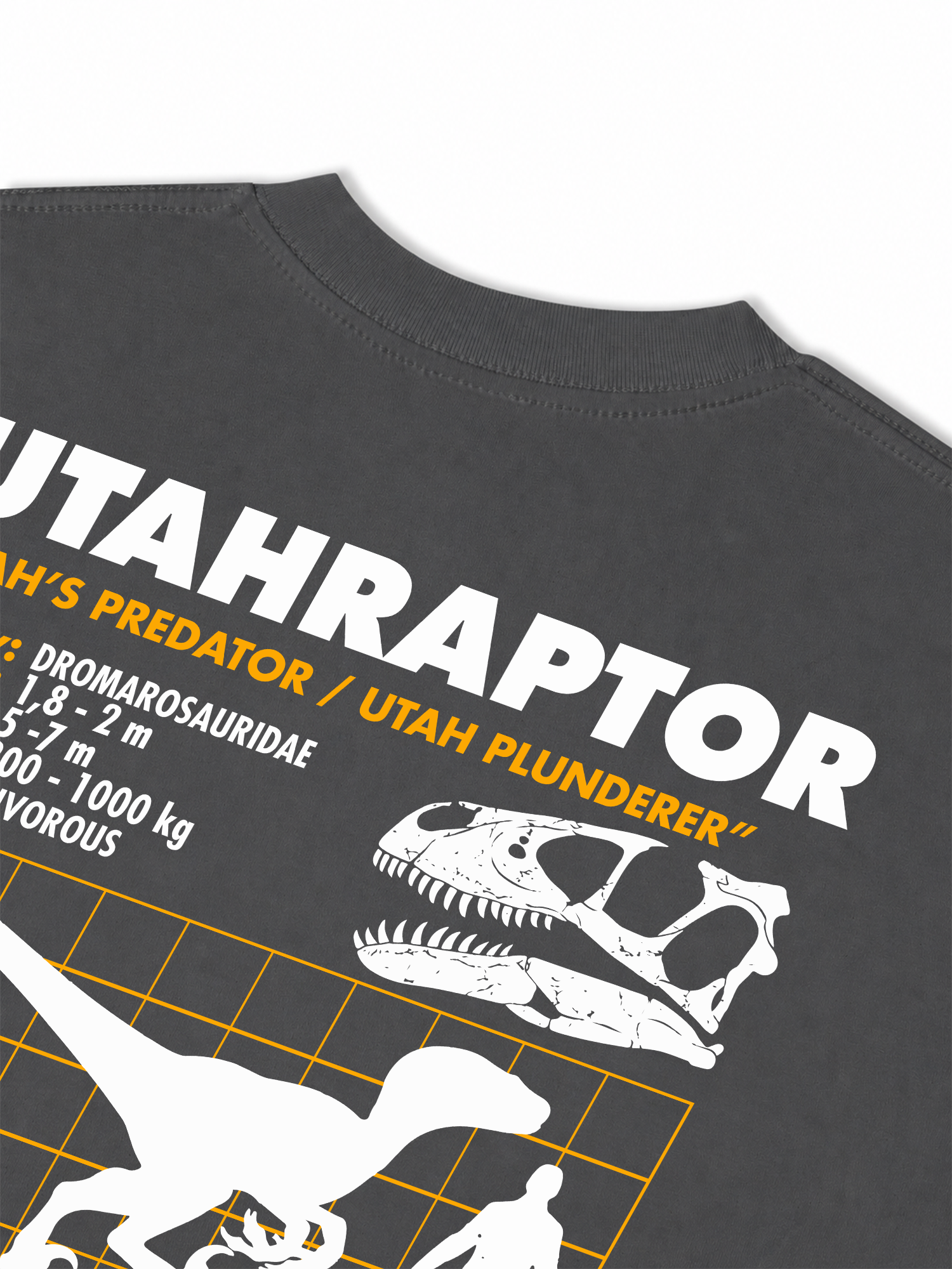 Áo Thun Relaxed Fit Analysis Table Utahraptor