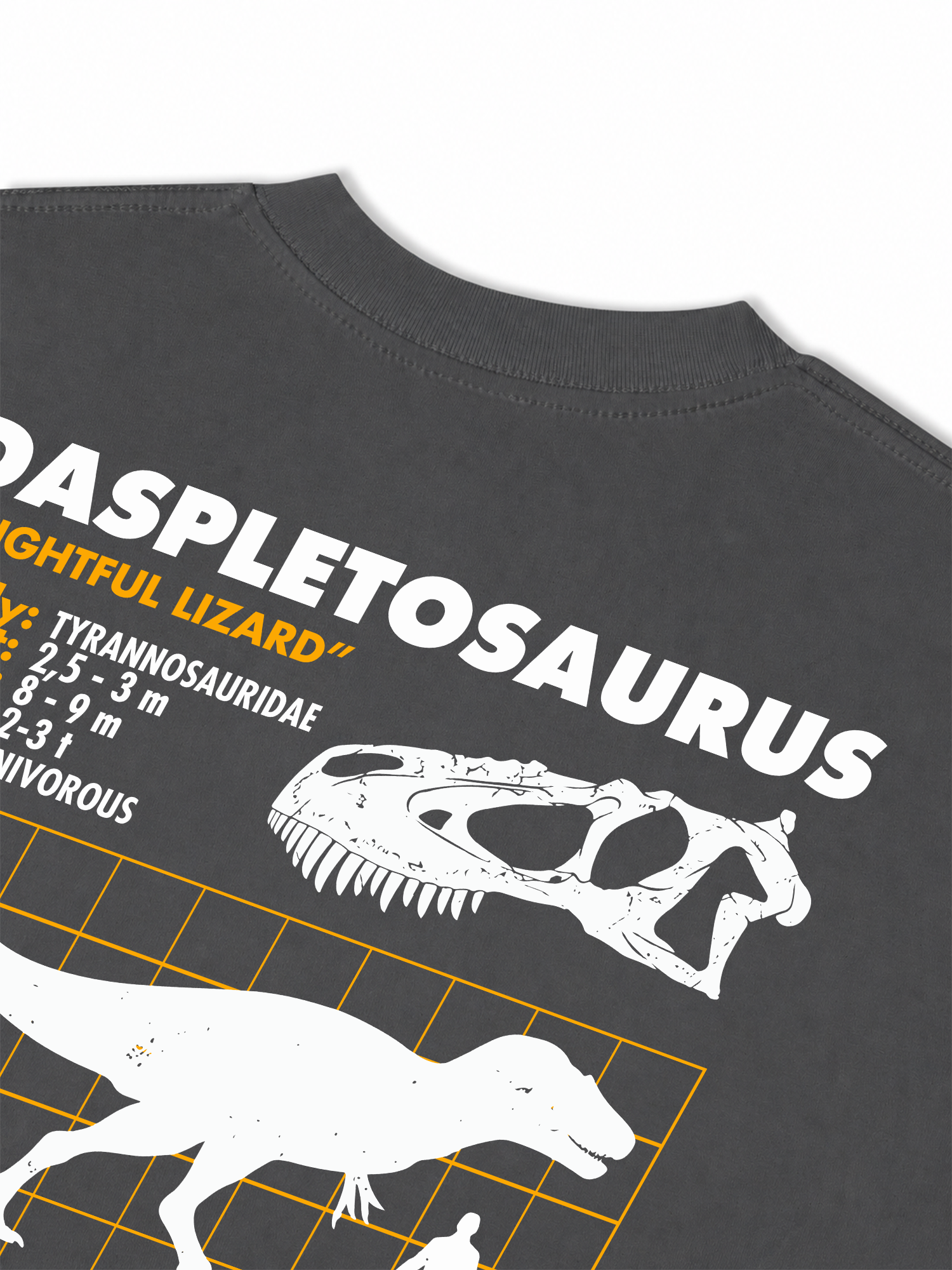 Áo Thun Relaxed Fit Analysis Table Daspletosaurus