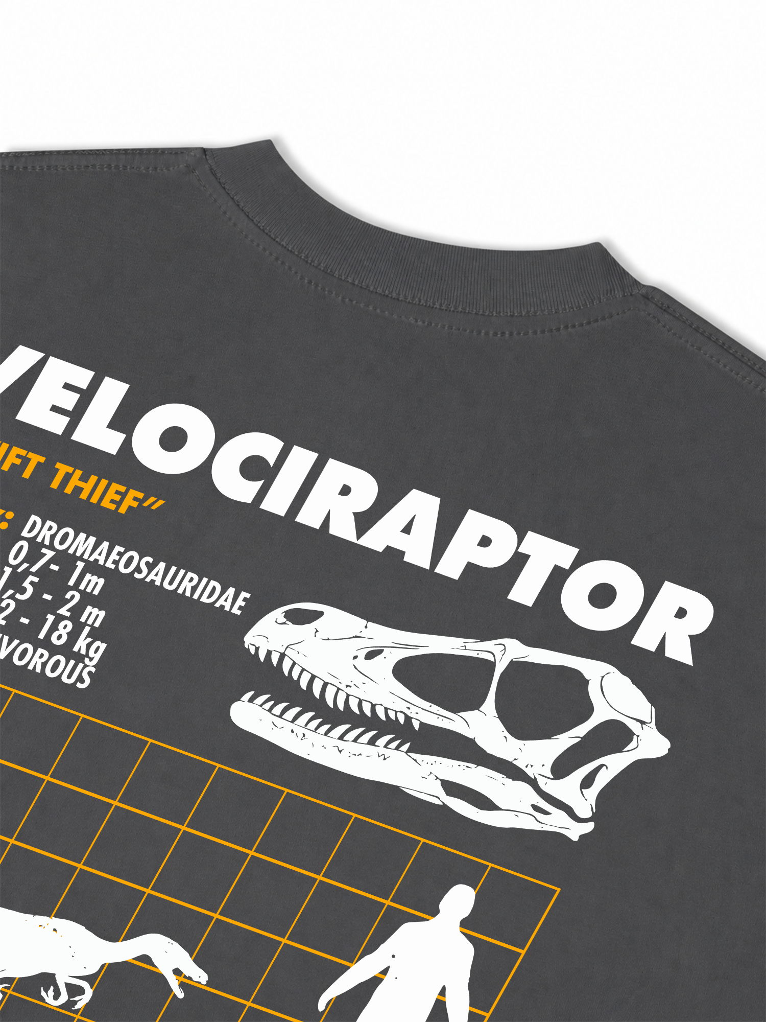 Áo Thun Relaxed Fit Analysis Table Velociraptor