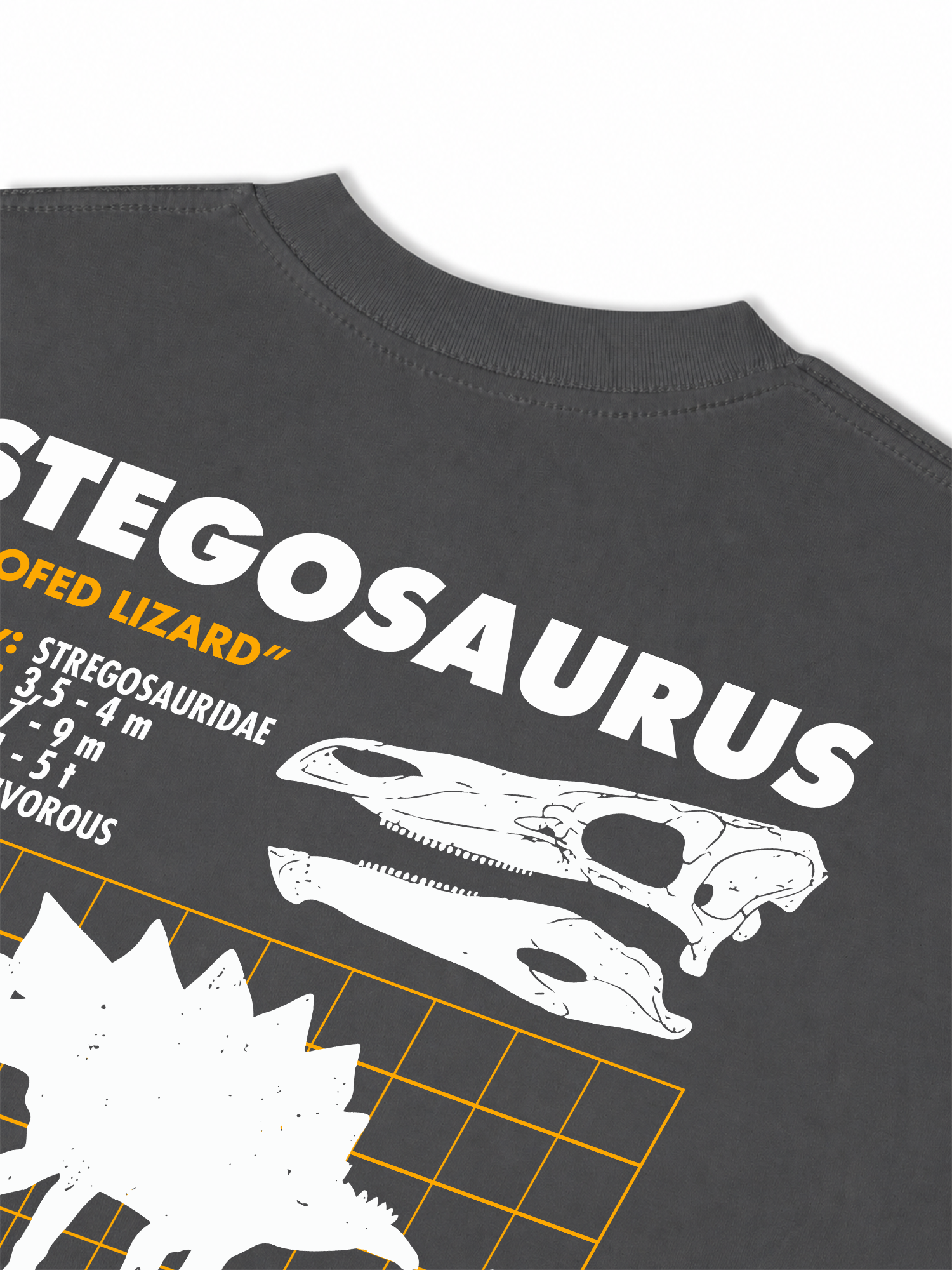 Áo Thun Relaxed Fit Analysis Table Stegosaurus