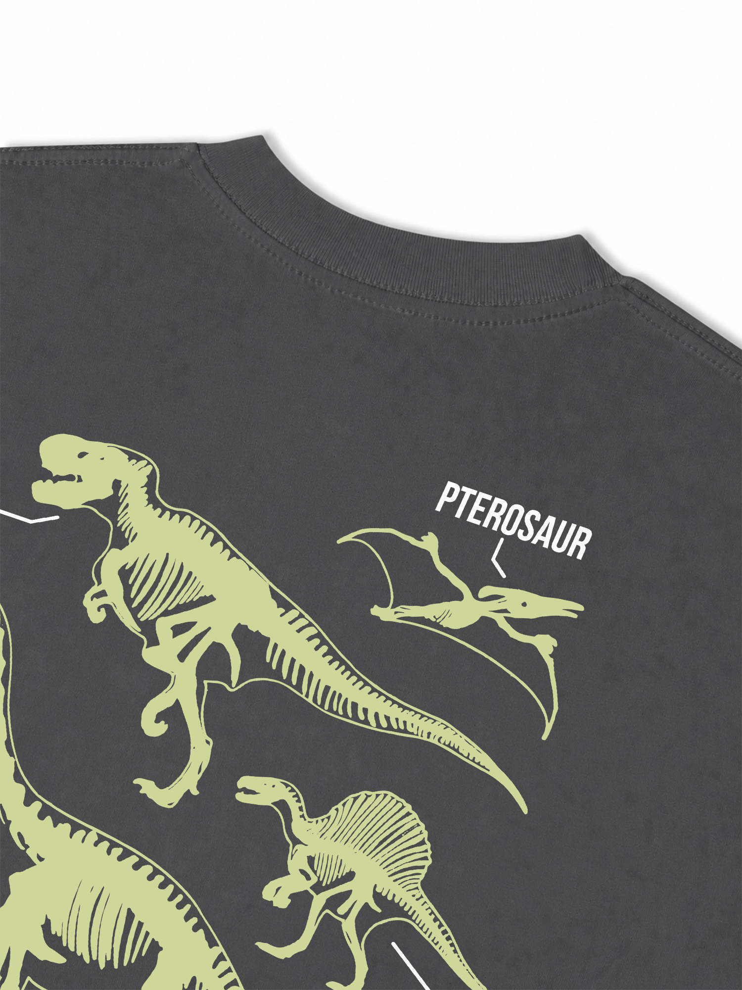 Áo Thun Relaxed Fit World Of Dino