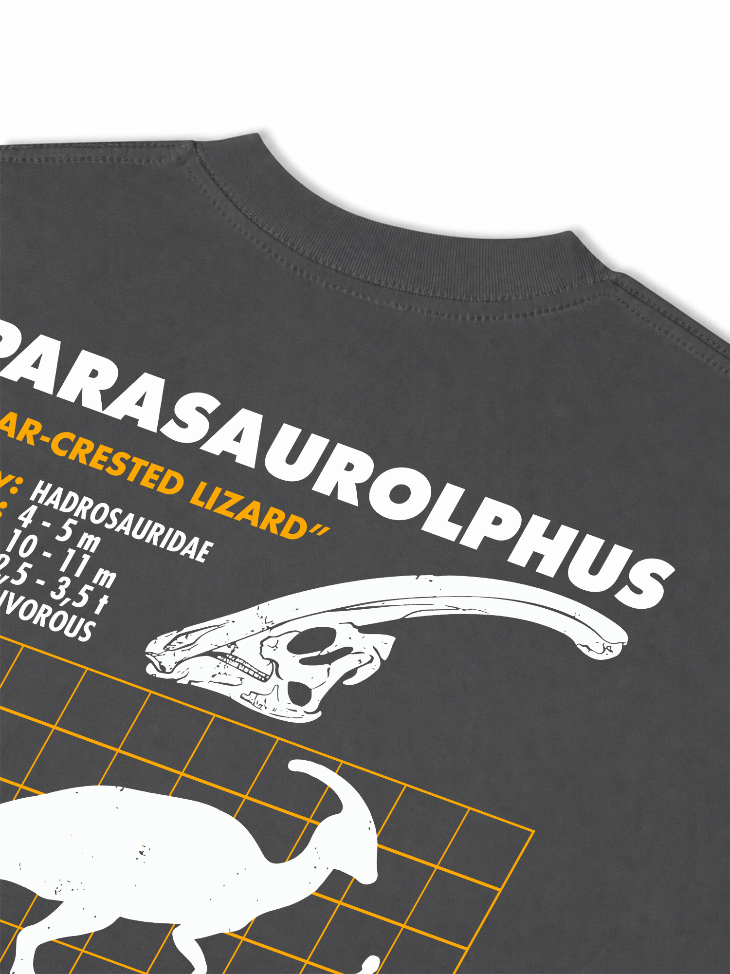 Áo Thun Relaxed Fit Analysis Table Parasaurolphus