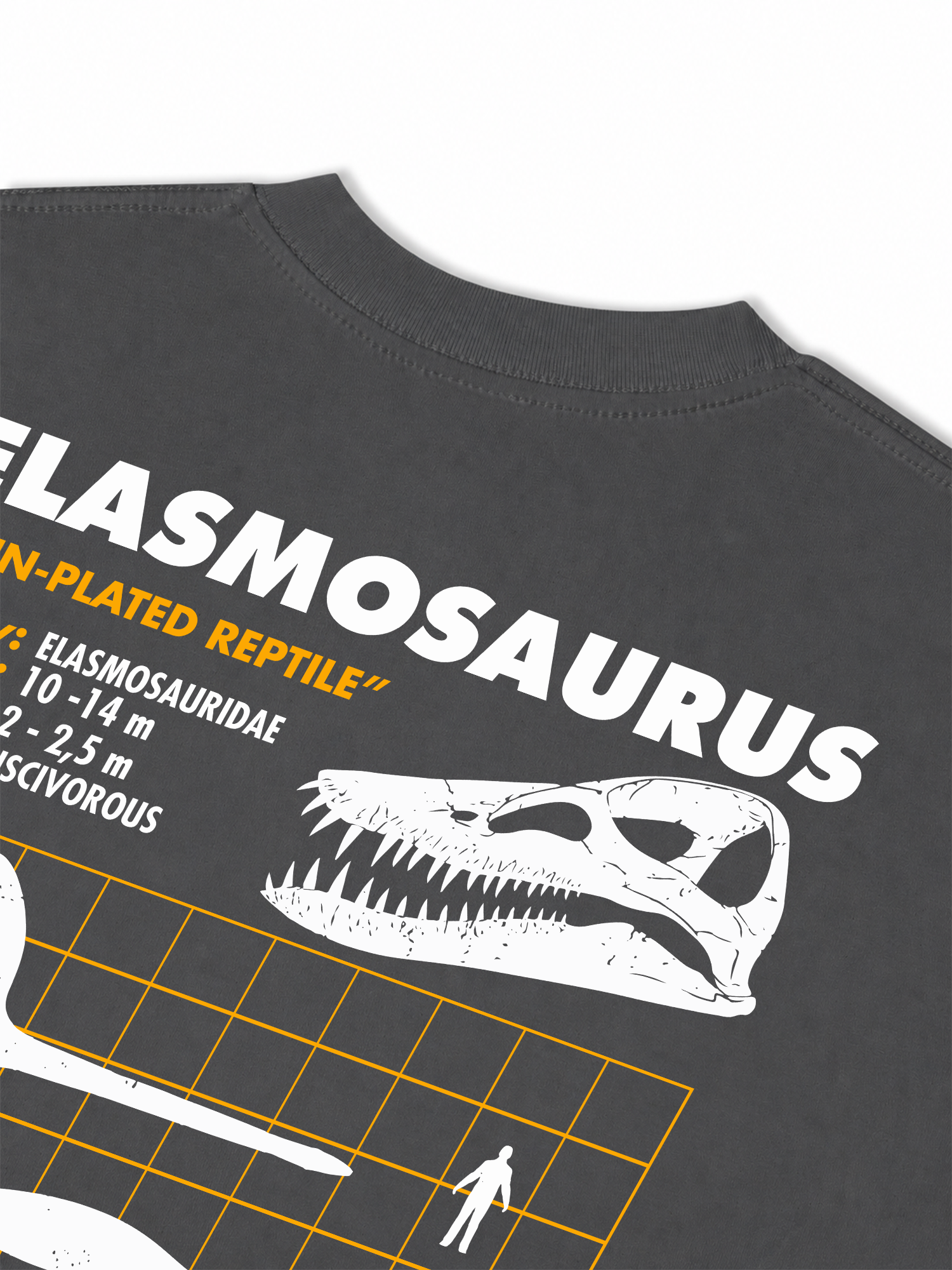 Áo Thun Relaxed Fit Analysis Table Elasmosaurus