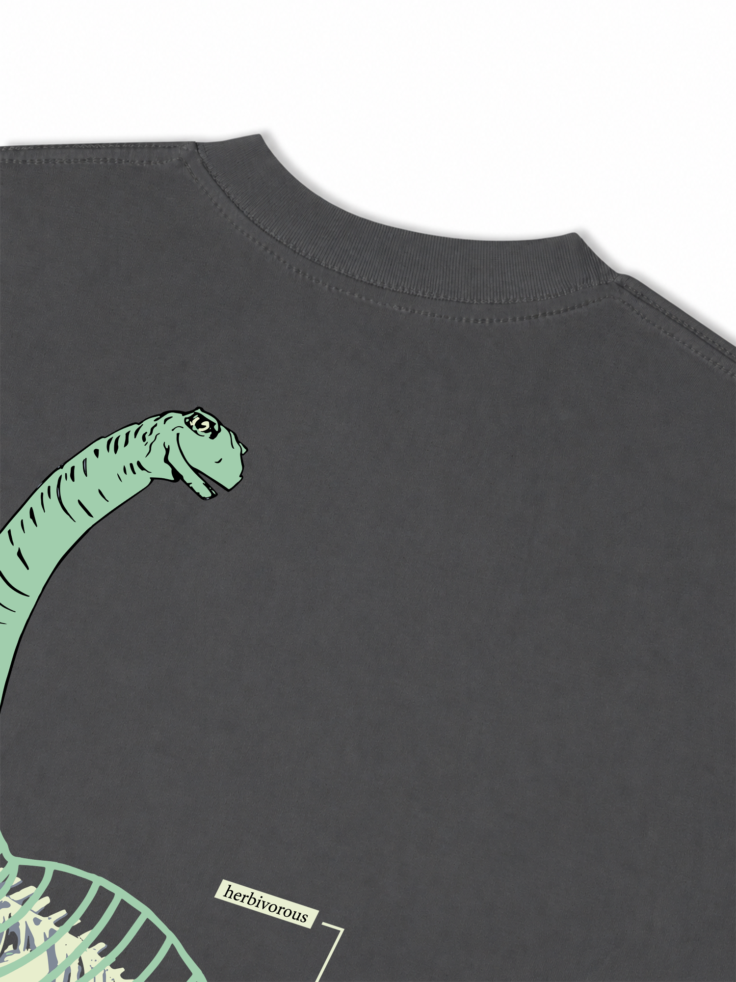 Áo Thun Relaxed Fit Sauropod