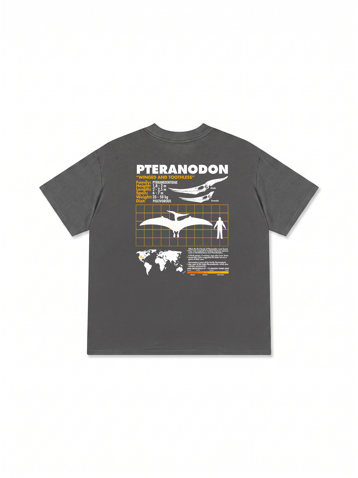 Áo Thun Relaxed Fit Analysis Table Pteranodon