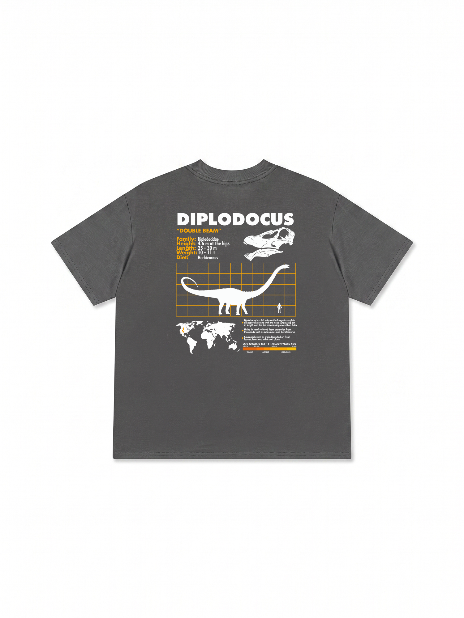 Áo Thun Relaxed Fit Analysis Table Diplodocus
