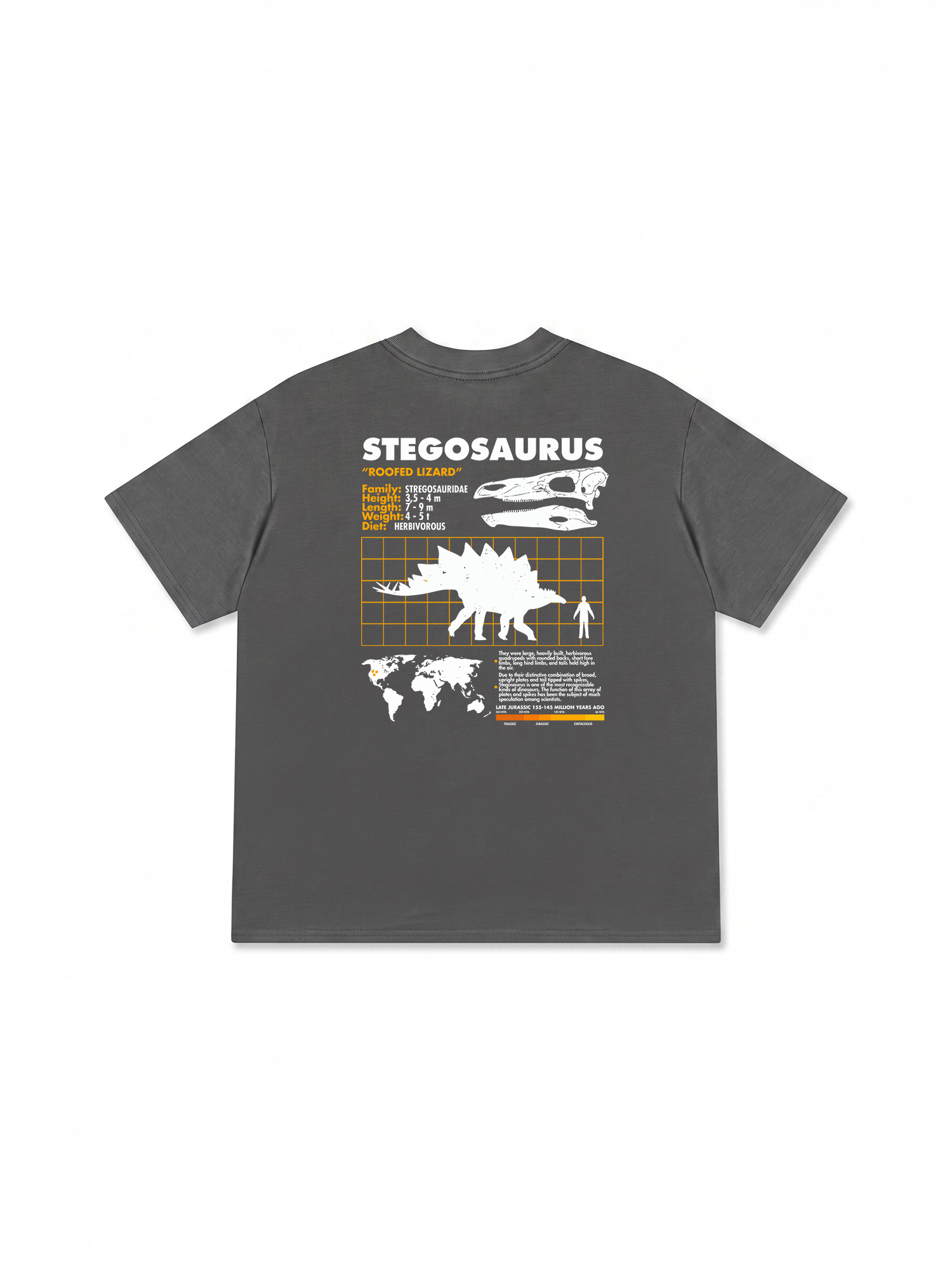 Áo Thun Relaxed Fit Analysis Table Stegosaurus