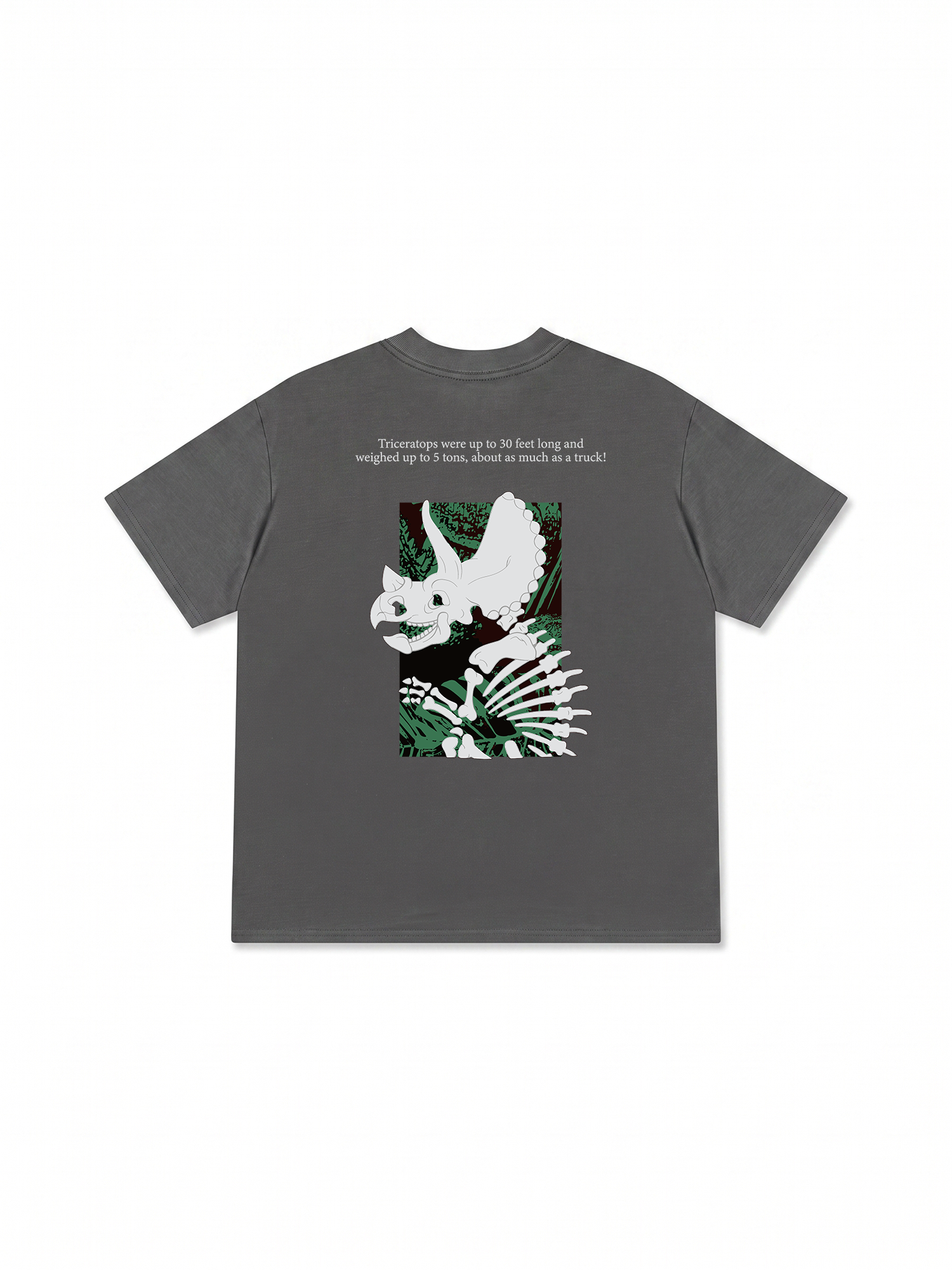 Áo Thun Relaxed Fit Triceratops