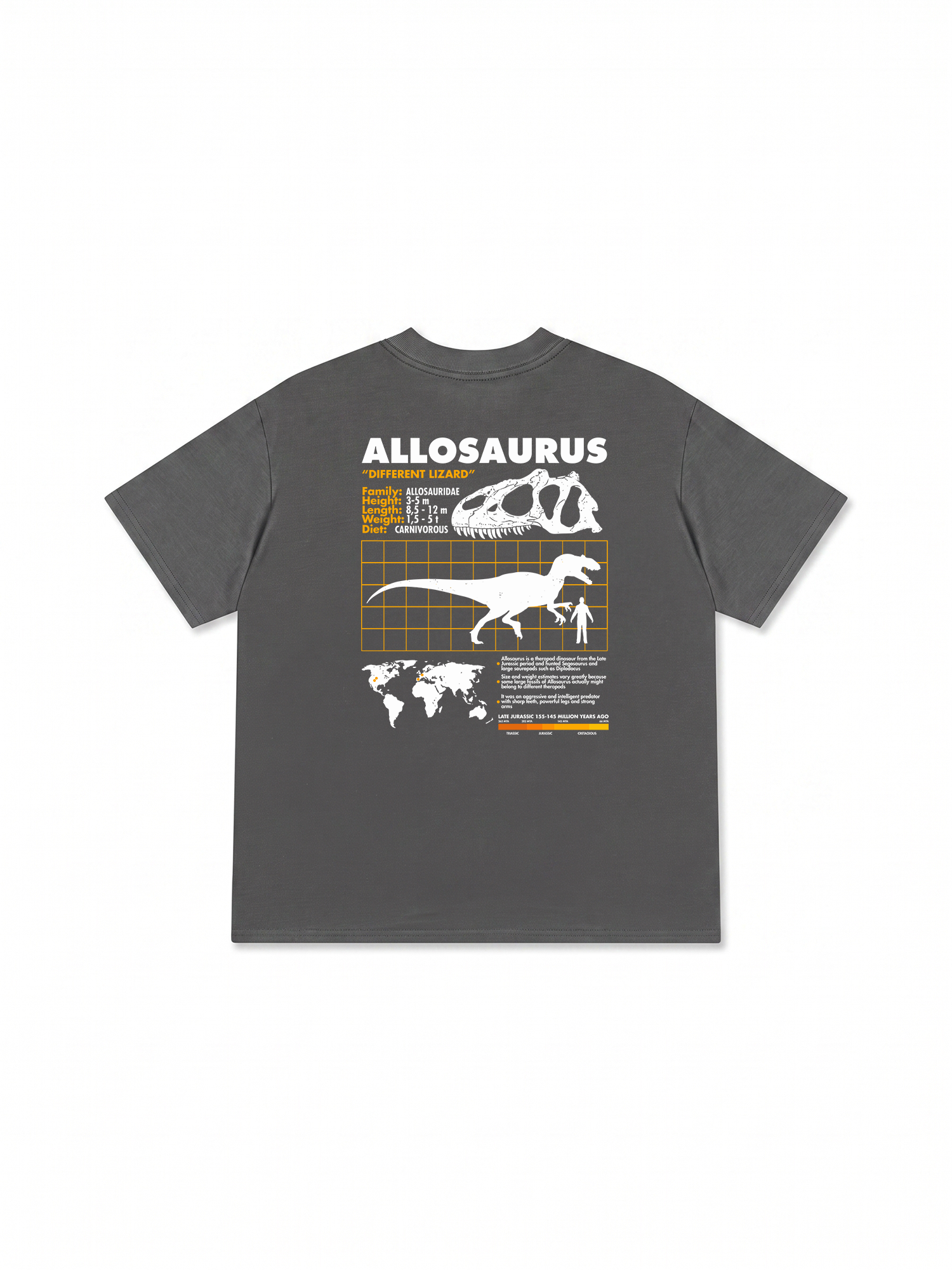 Áo Thun Relaxed Fit Analysis Table Allosaurus