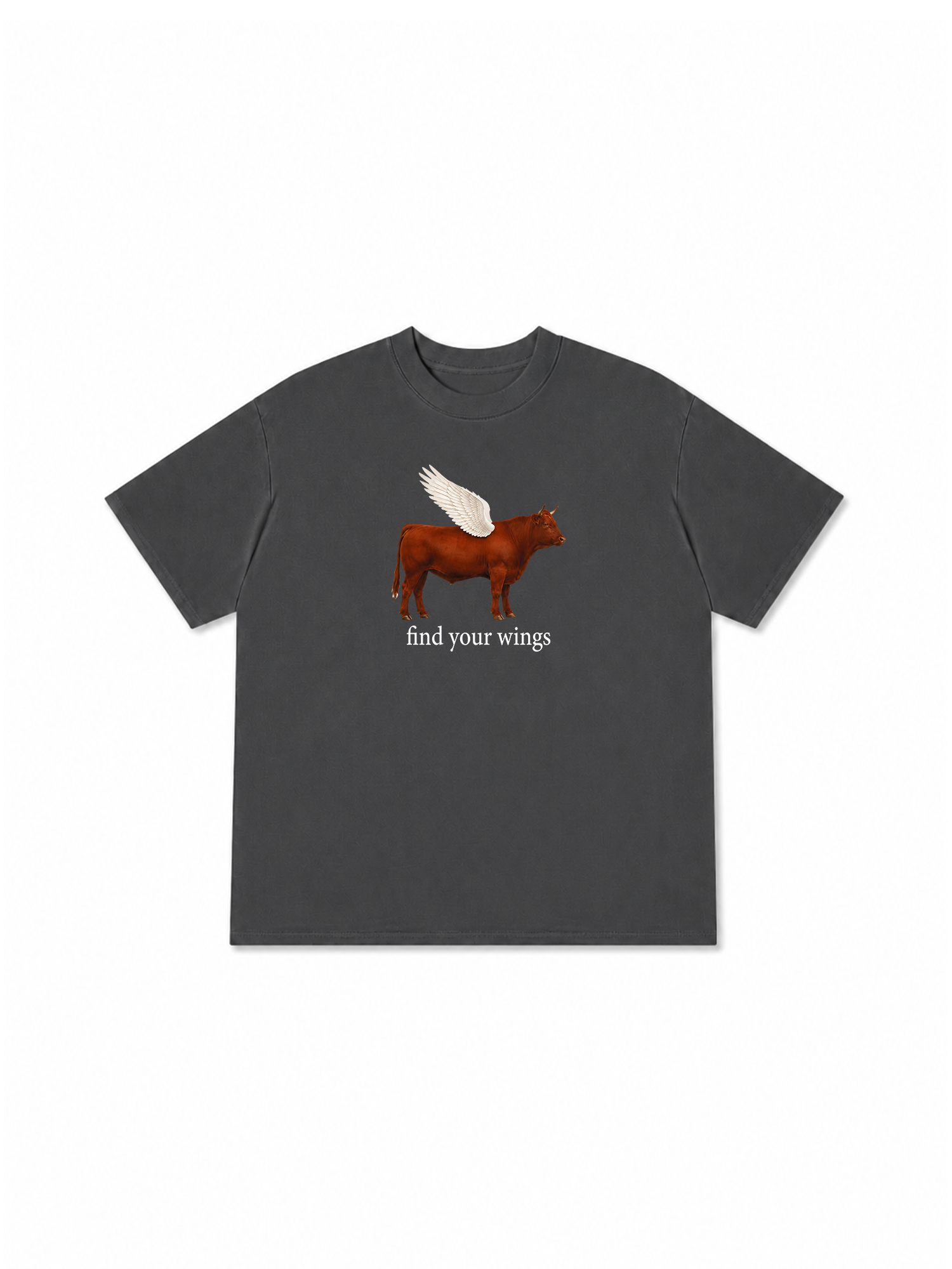 Áo Thun Relaxed Fit Find Your Wings