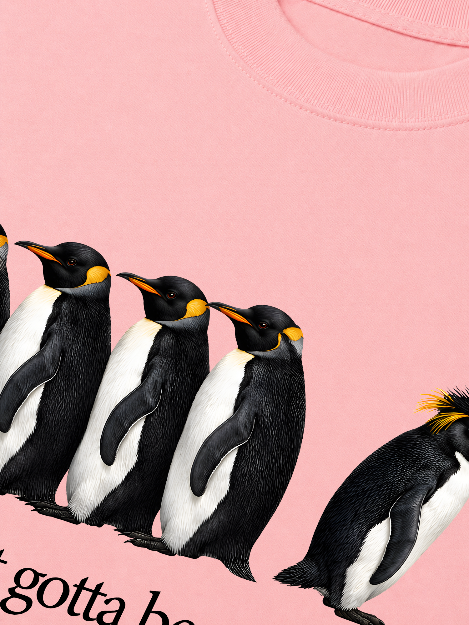 Áo Thun Relaxed Fit I Just Gotta Be Me Penguin