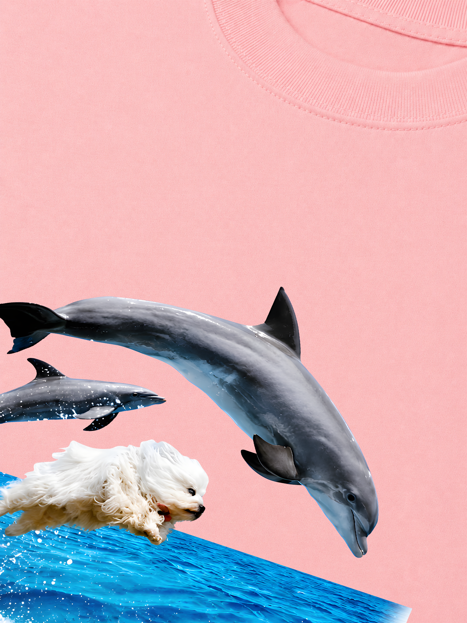 Áo Thun Relaxed Fit I Just Gotta Be Me Dog And Dolphin