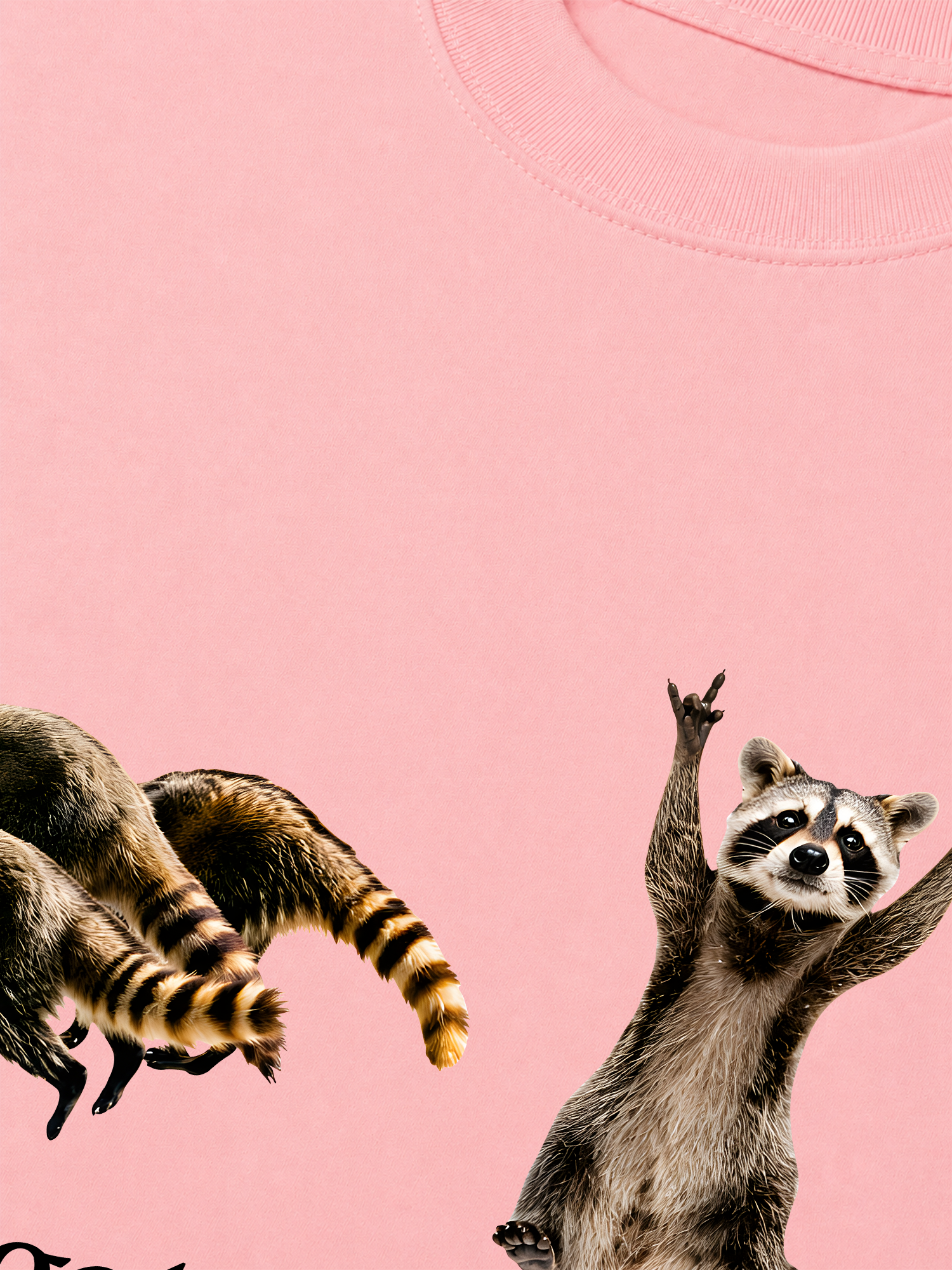 Áo Thun Relaxed Fit I Just Gotta Be Me Raccoon