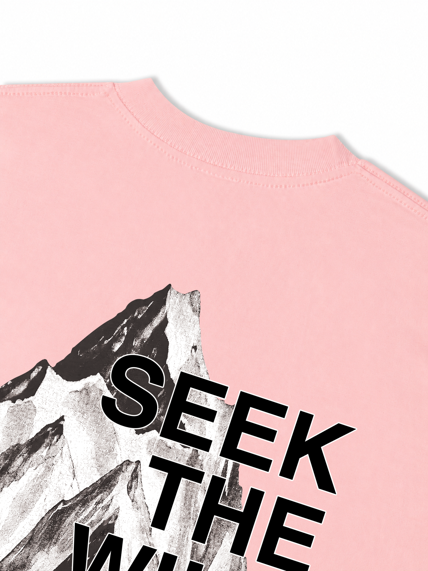 Áo Thun Relaxed Fit Adventure Seek The Wild 3