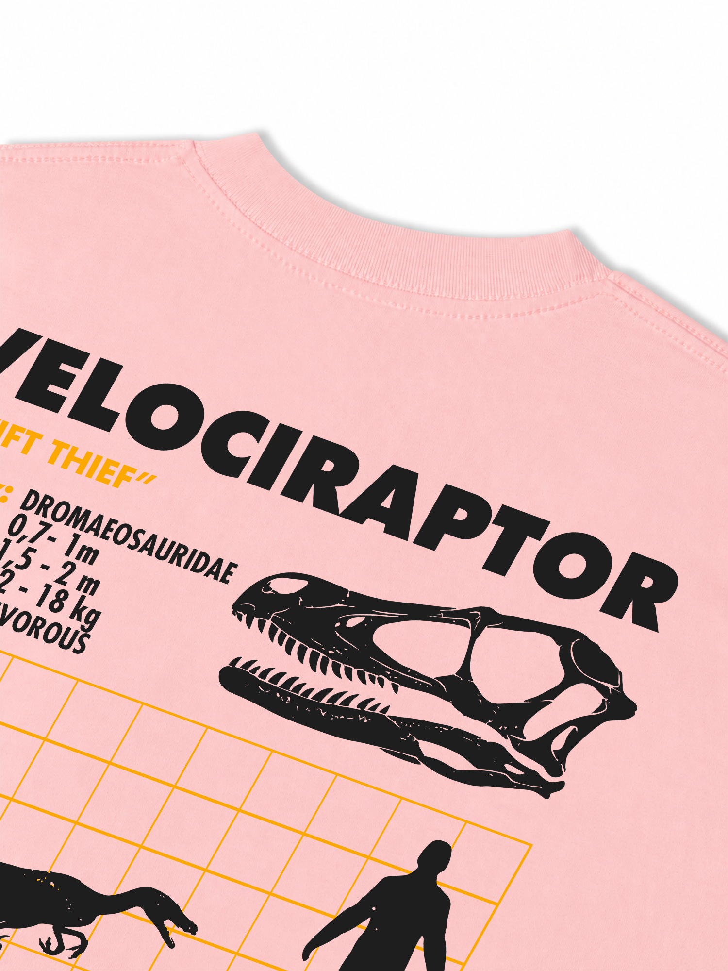 Áo Thun Relaxed Fit Analysis Table Velociraptor