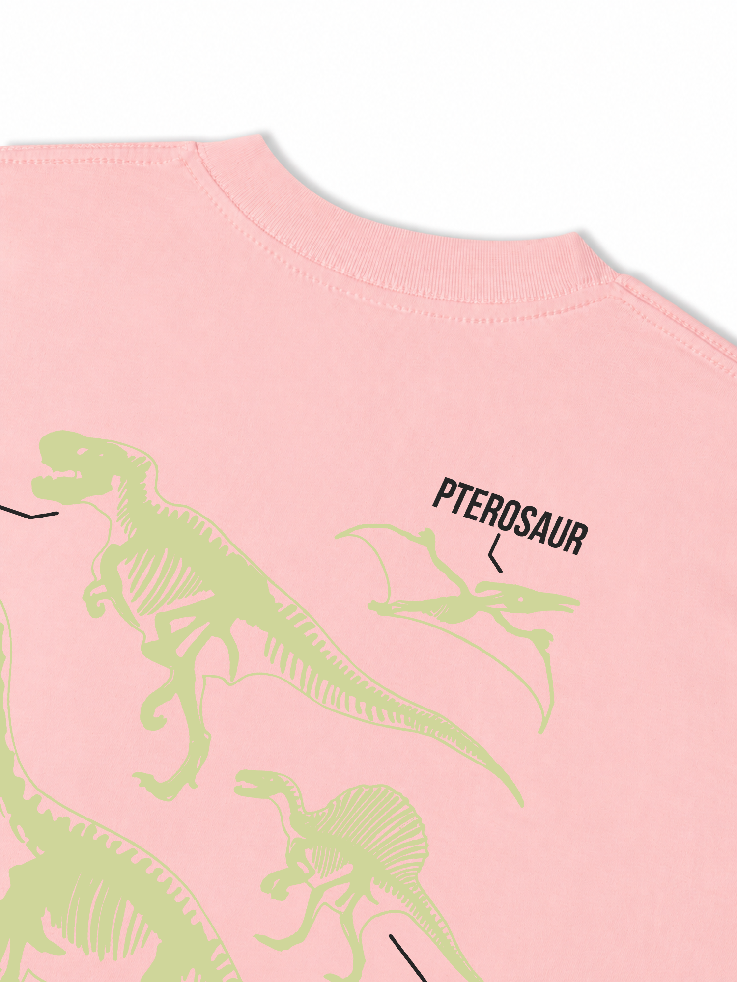 Áo Thun Relaxed Fit World Of Dino