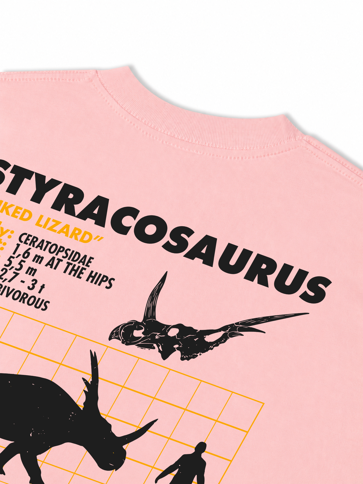 Áo Thun Relaxed Fit Analysis Table Styracosaurus