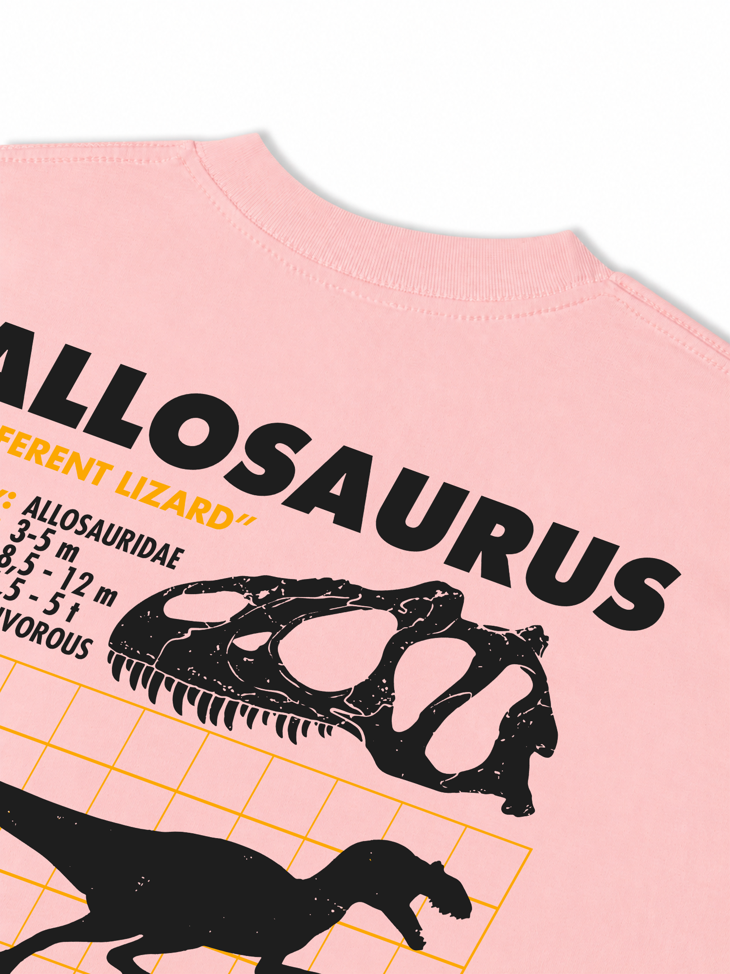 Áo Thun Relaxed Fit Analysis Table Allosaurus