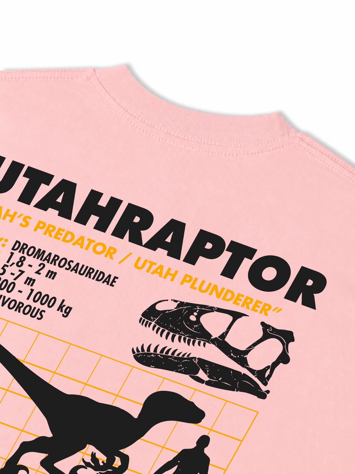Áo Thun Relaxed Fit Analysis Table Utahraptor