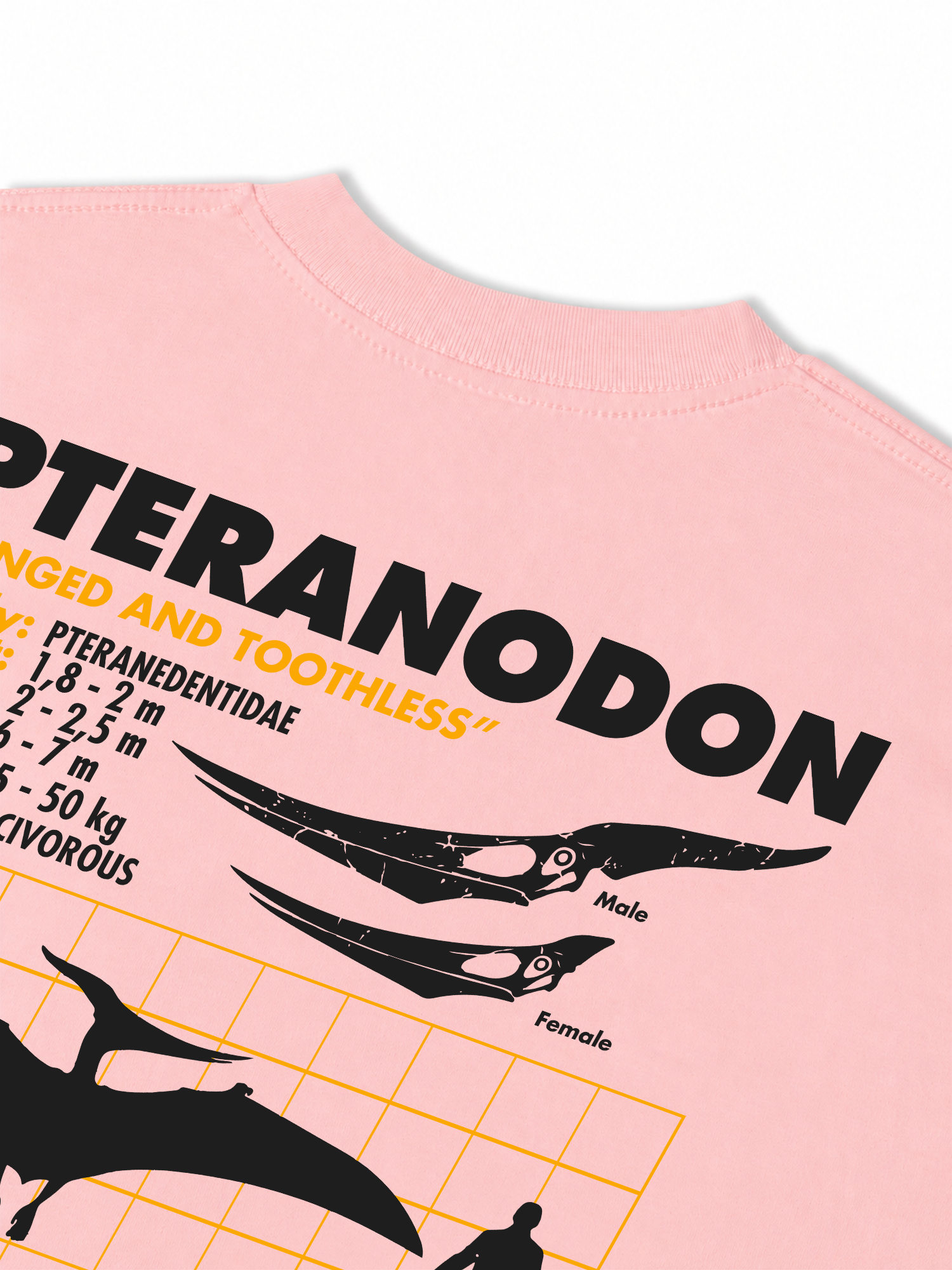 Áo Thun Relaxed Fit Analysis Table Pteranodon