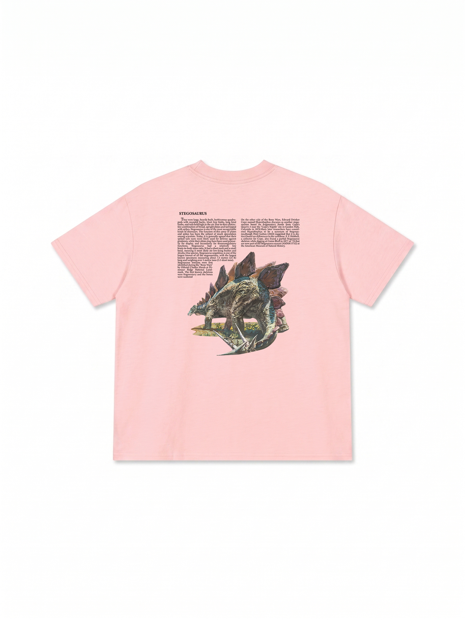 Áo Thun Relaxed Fit Stegosaurus Archive