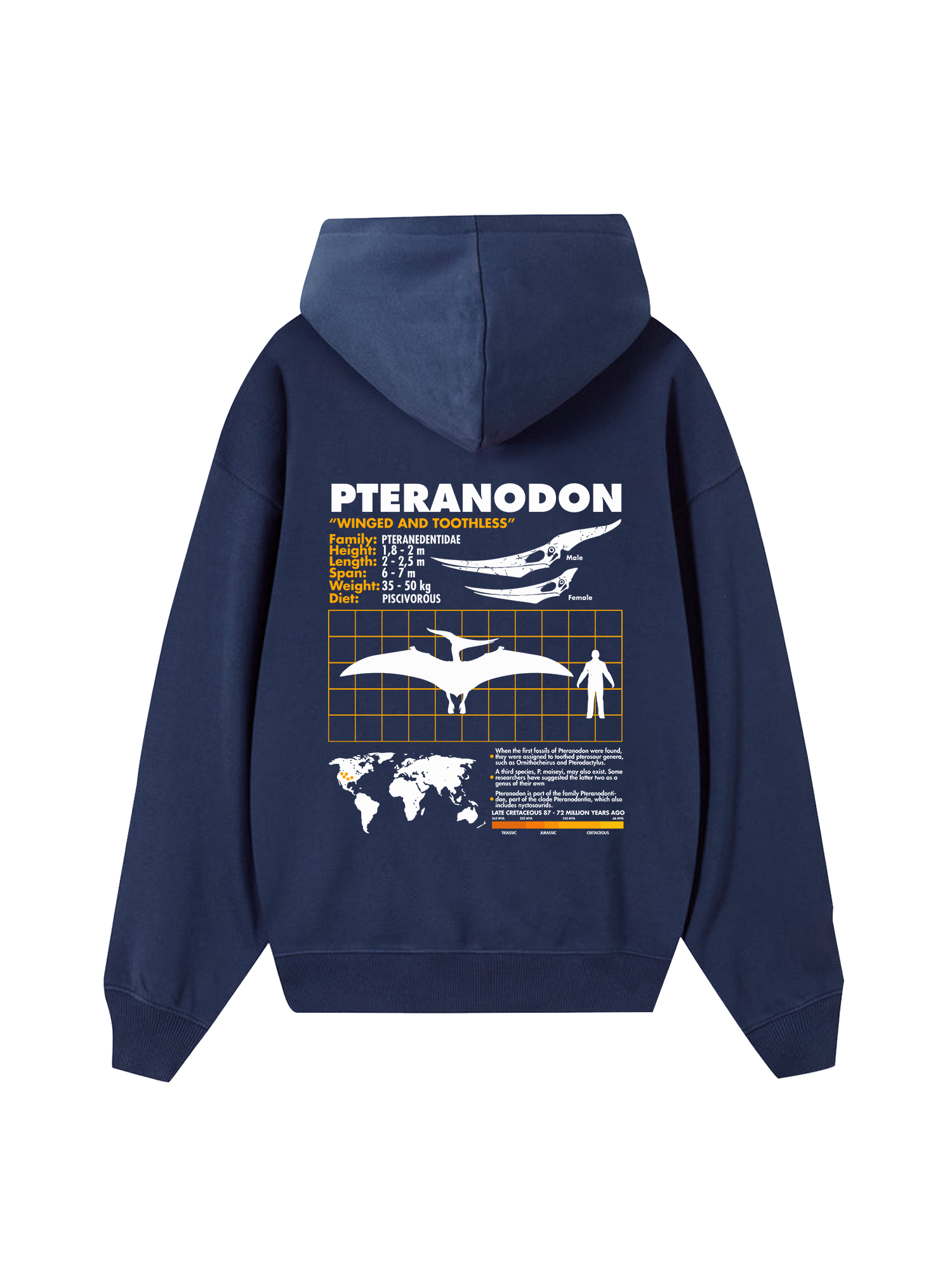 Wild Life Analysis Table Pteranodon Hoodie
