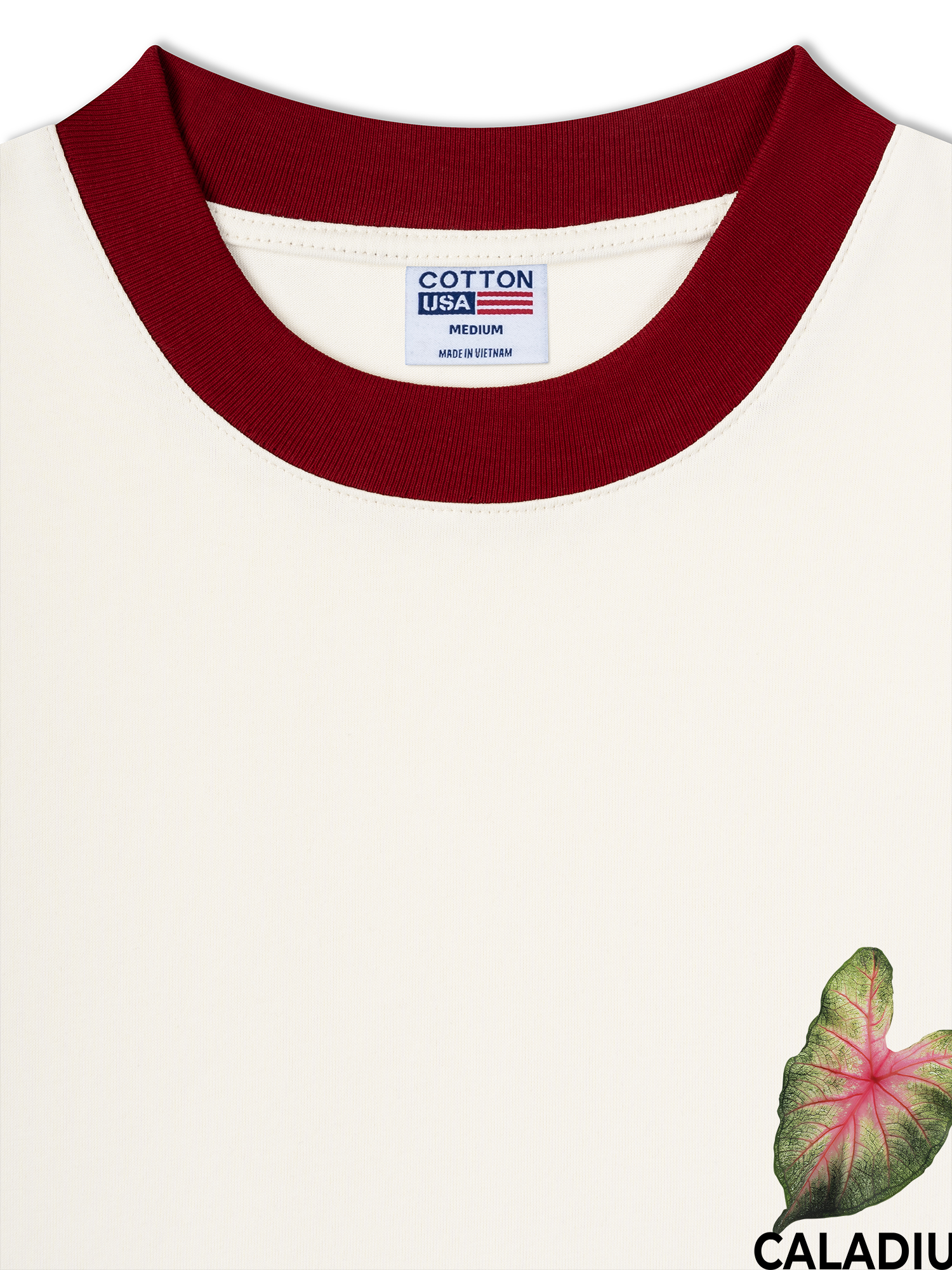 Áo Thun Ringer Relaxed Fit Tropical Leaf