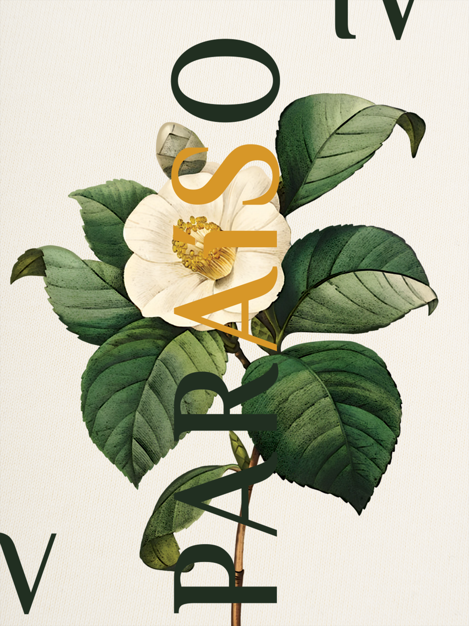 Áo Thun Ringer Relaxed Fit Paraíso