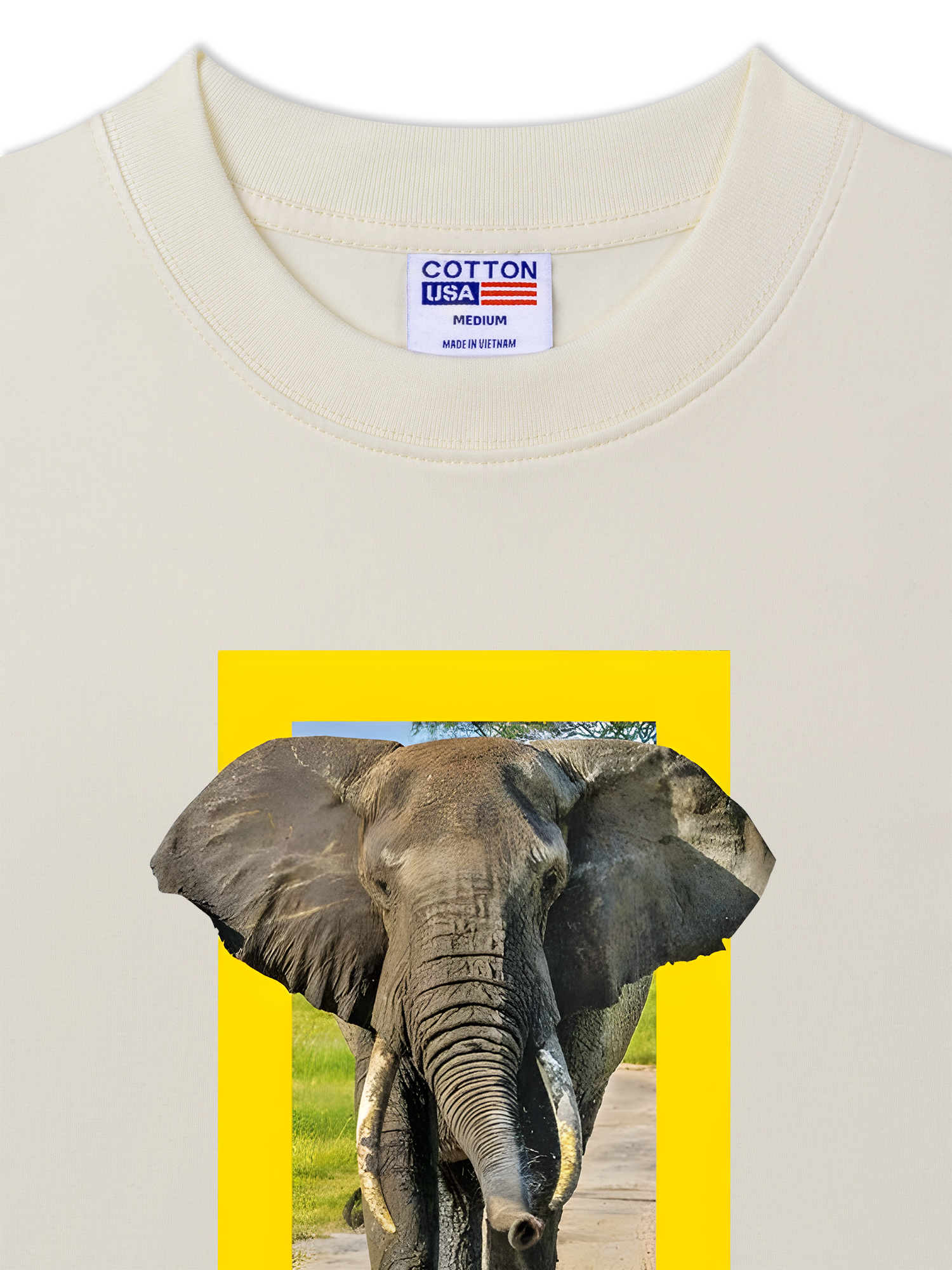 Áo Thun Relaxed Fit Wild Life Nature's Great