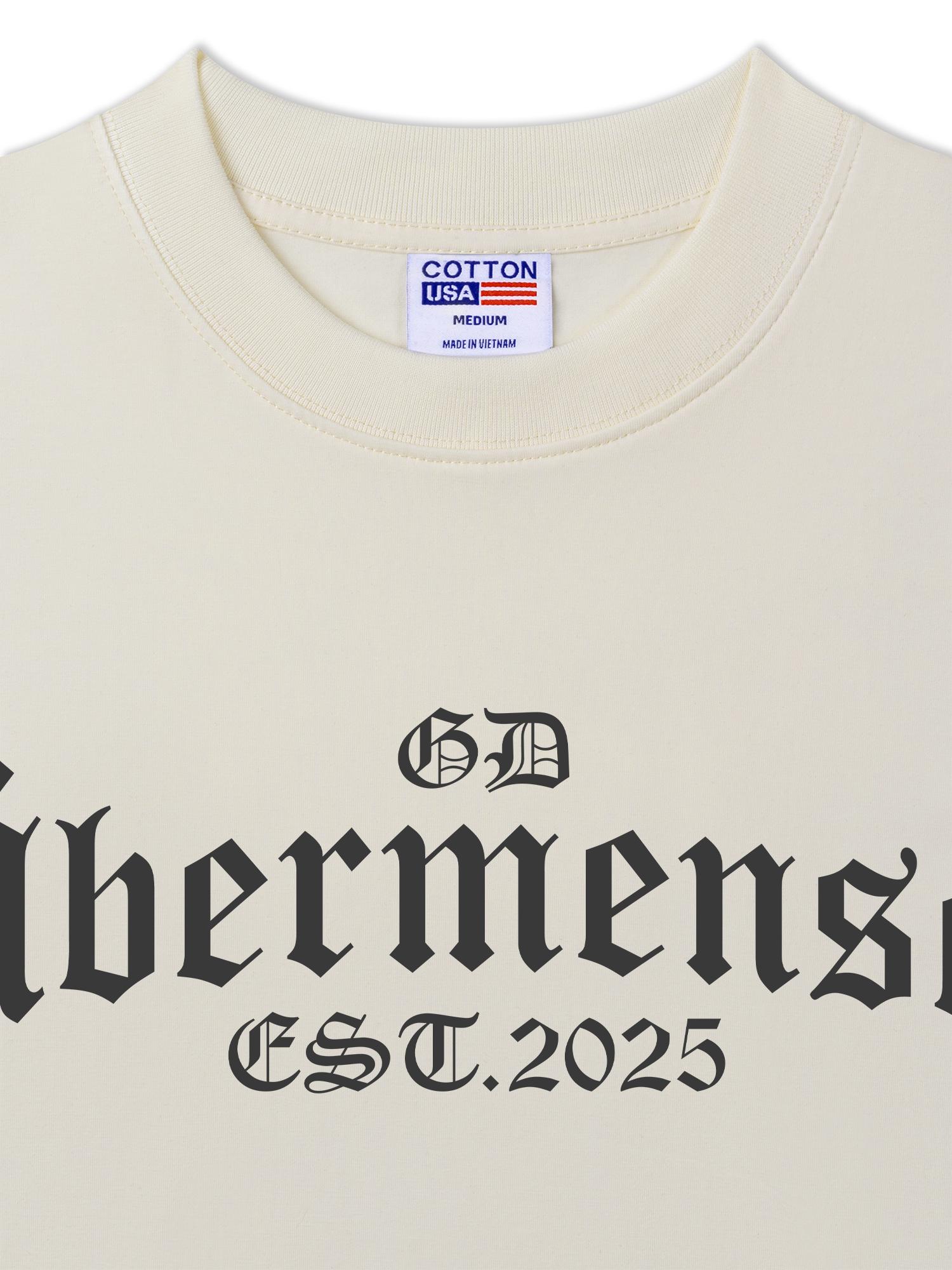 Áo Thun Relaxed Fit Idols World Tour Classic