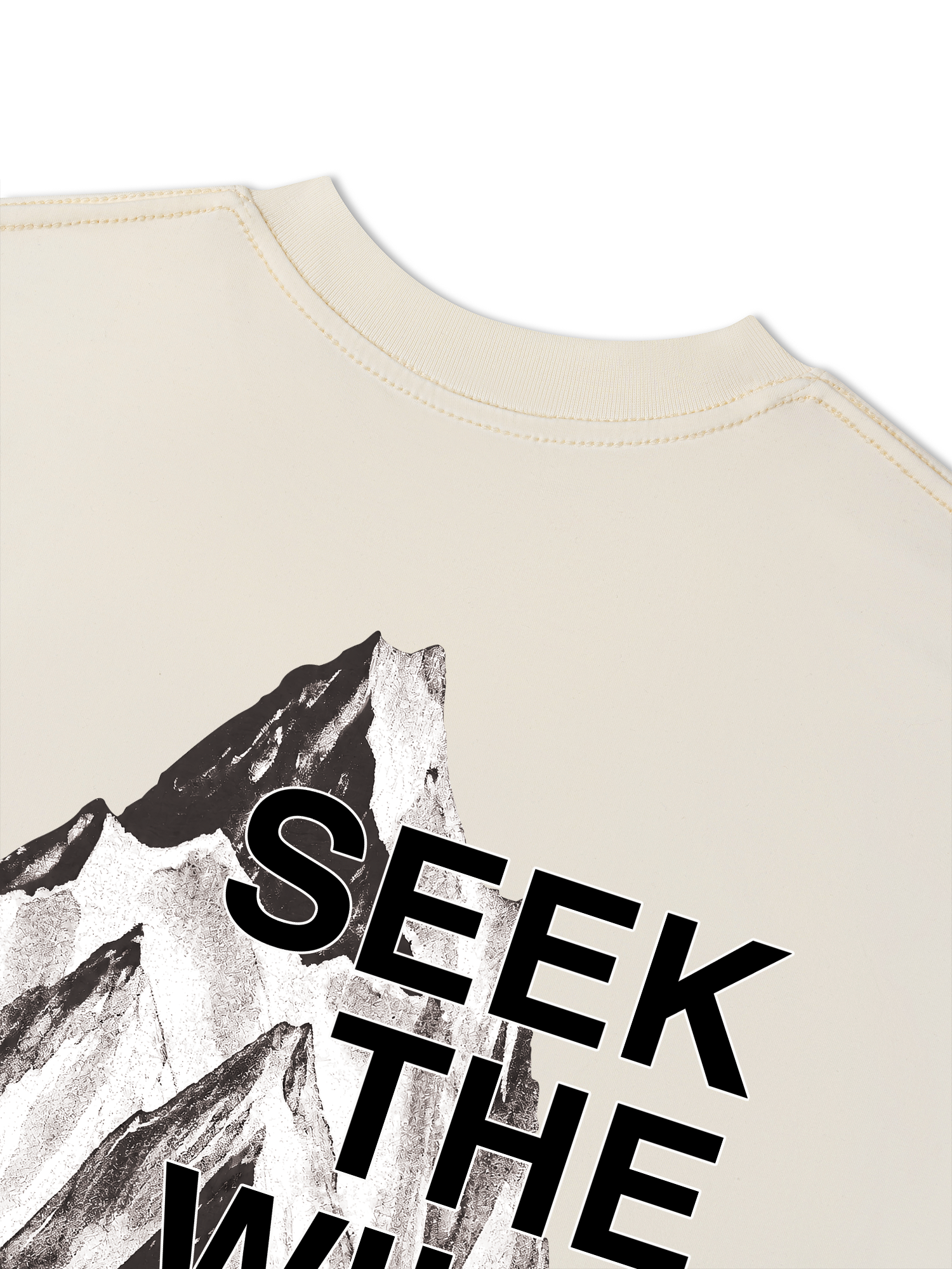 Áo Thun Relaxed Fit Adventure Seek The Wild 3