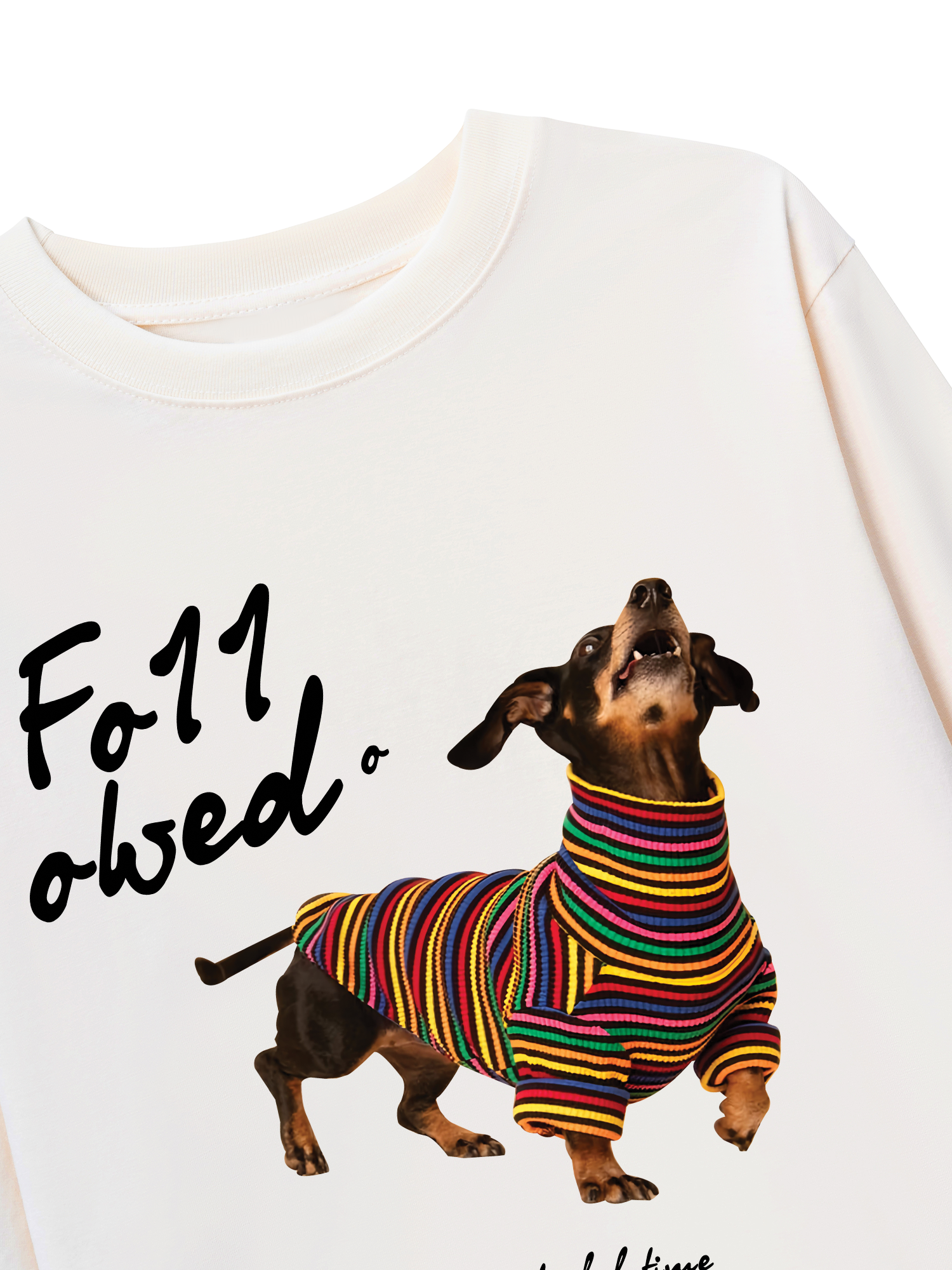 Áo Thun Dài Tay Rainbow Sweater With Dog