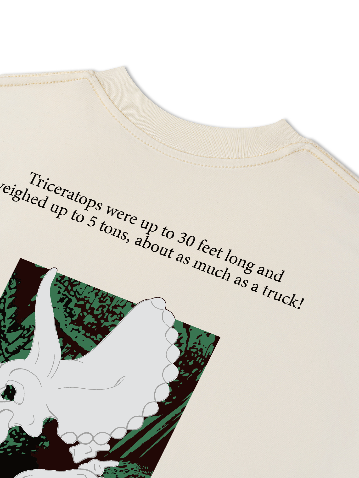 Áo Thun Relaxed Fit Triceratops