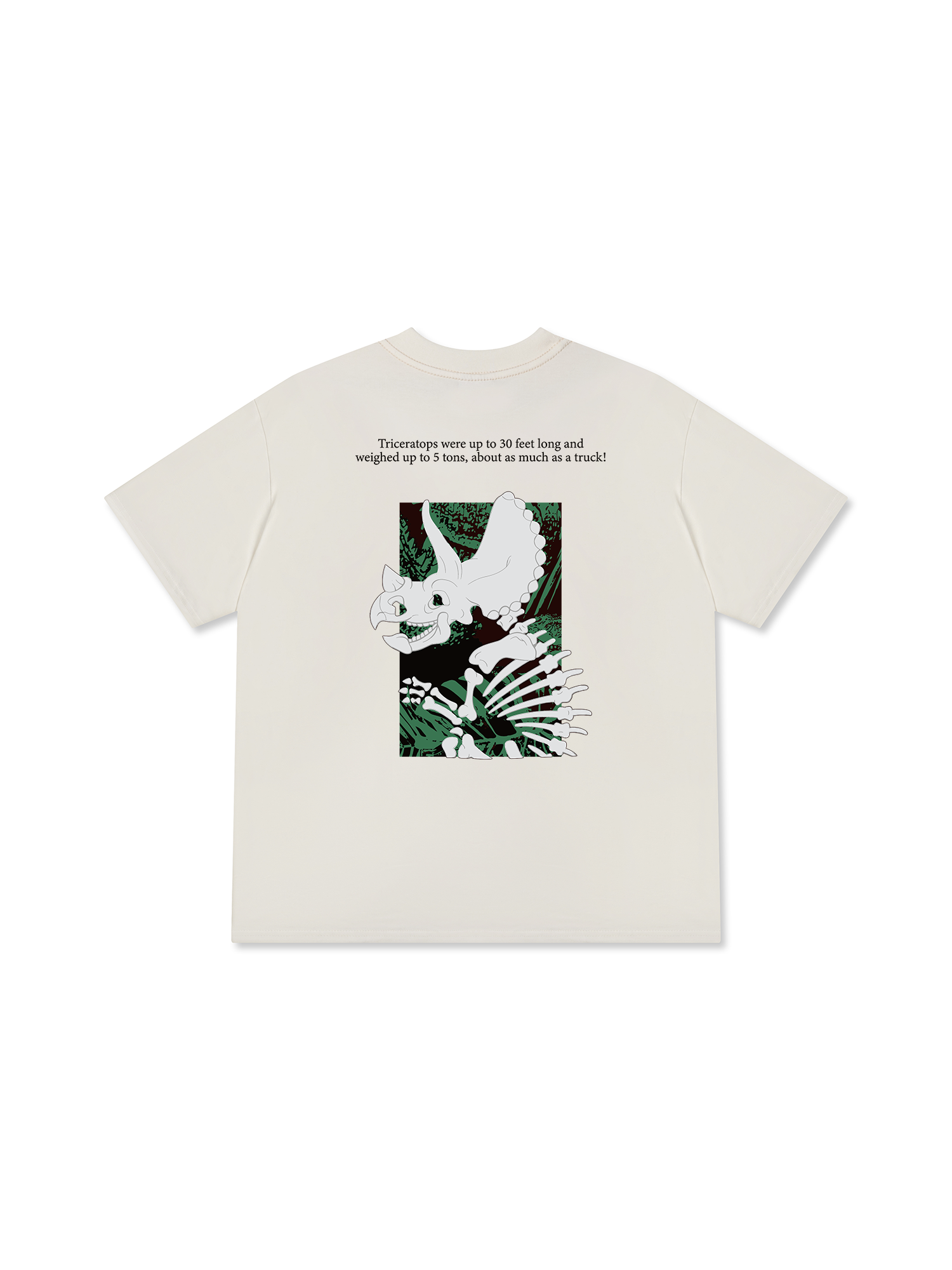 Áo Thun Relaxed Fit Triceratops