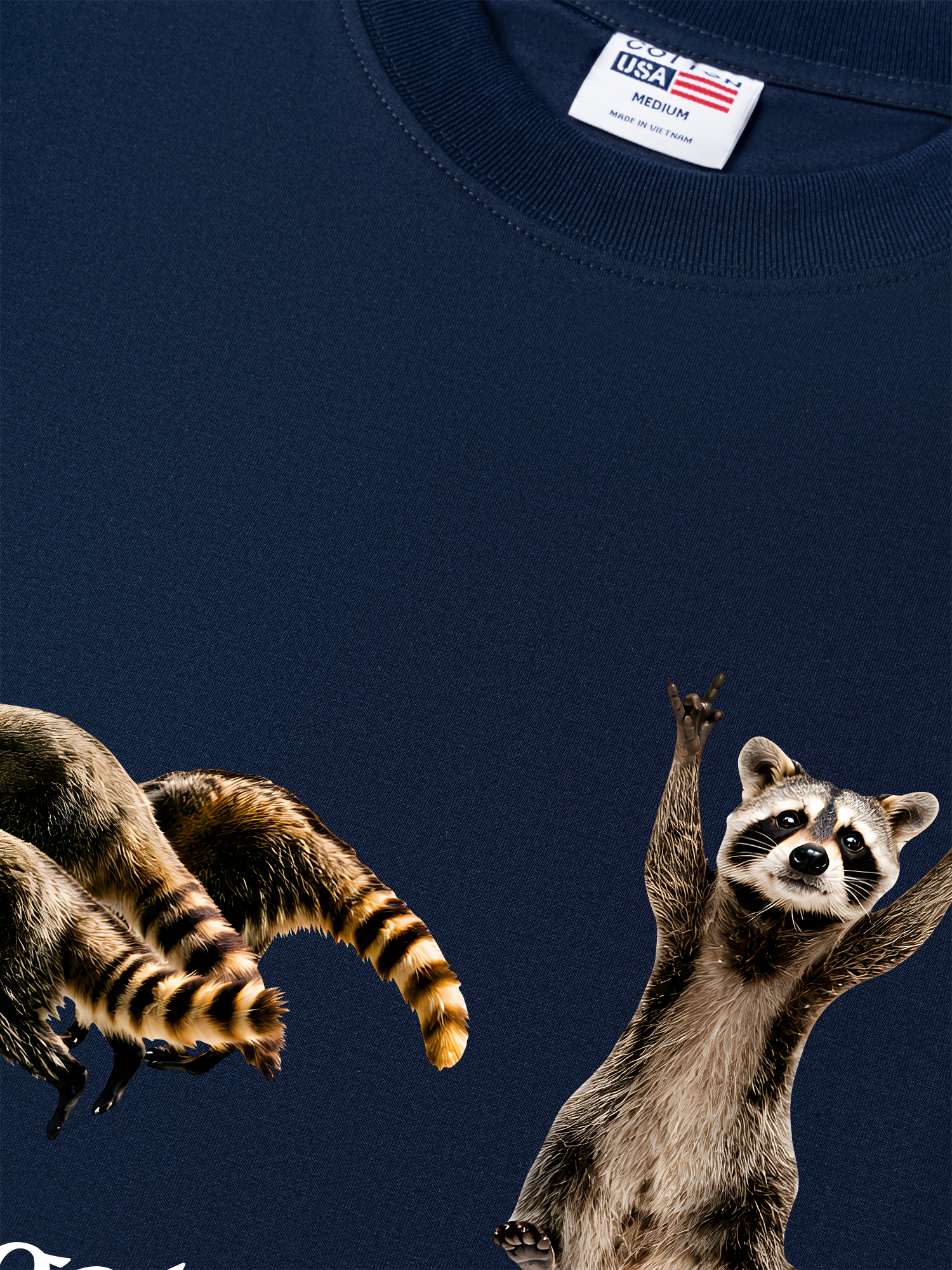 Áo Thun Relaxed Fit I Just Gotta Be Me Raccoon