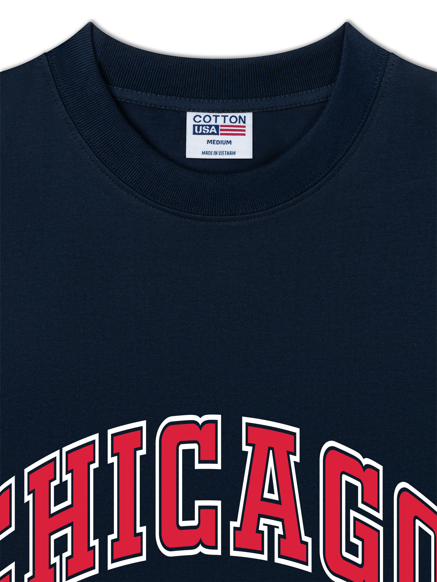 Áo Thun Relaxed Fit Chicago 21 Basketball Spider