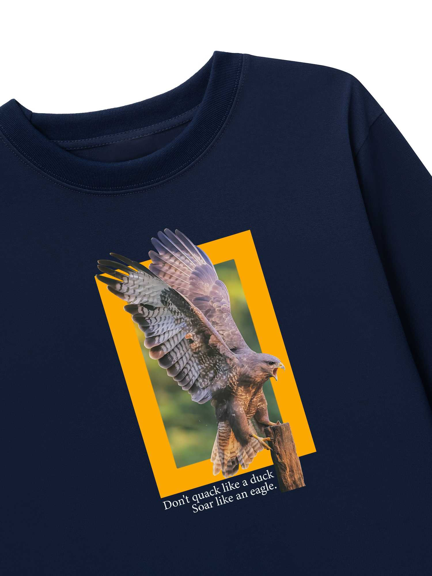 Áo Thun Dài Tay Wild Life Soar Like An Eagle
