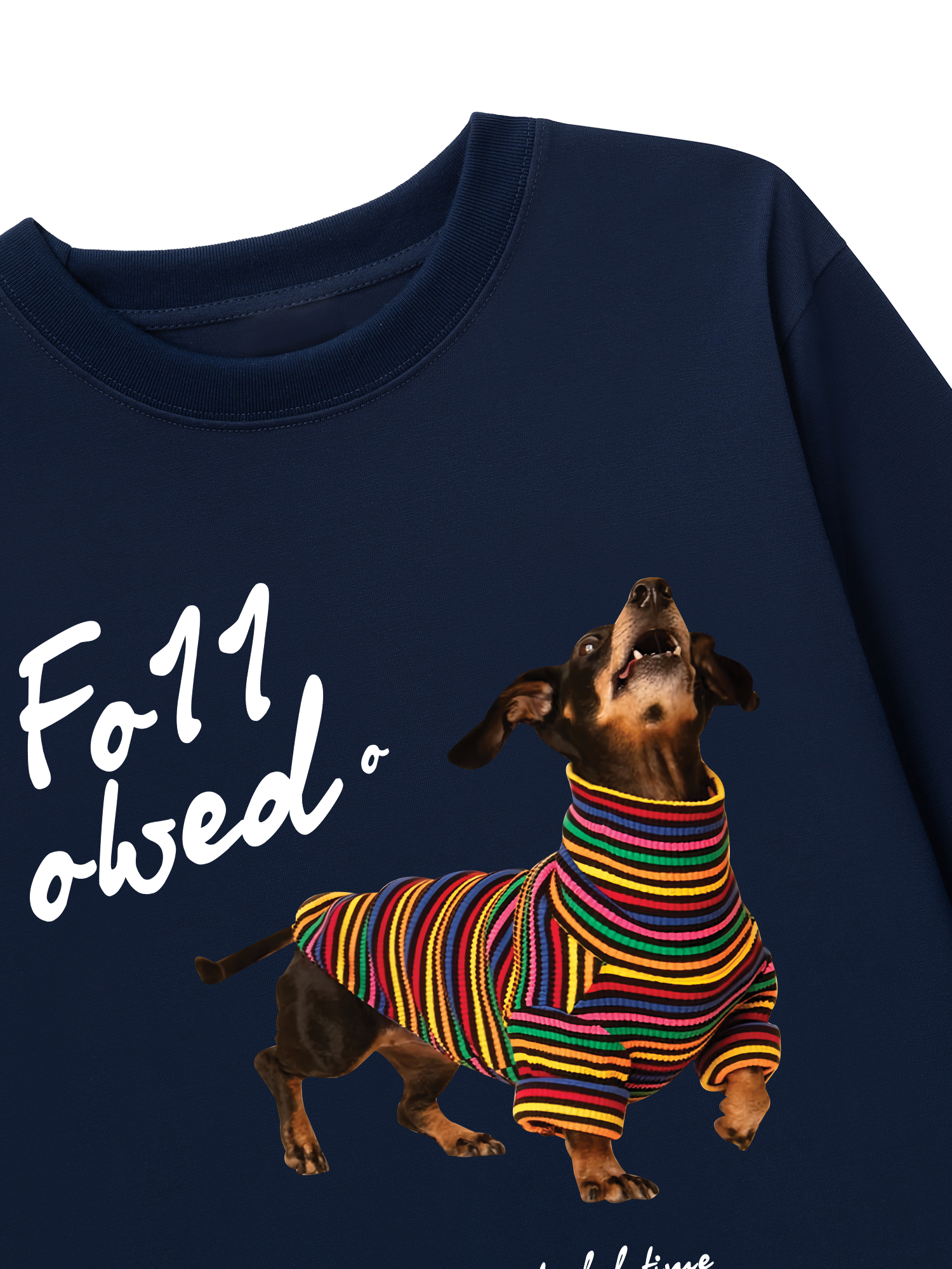 Áo Thun Dài Tay Rainbow Sweater With Dog