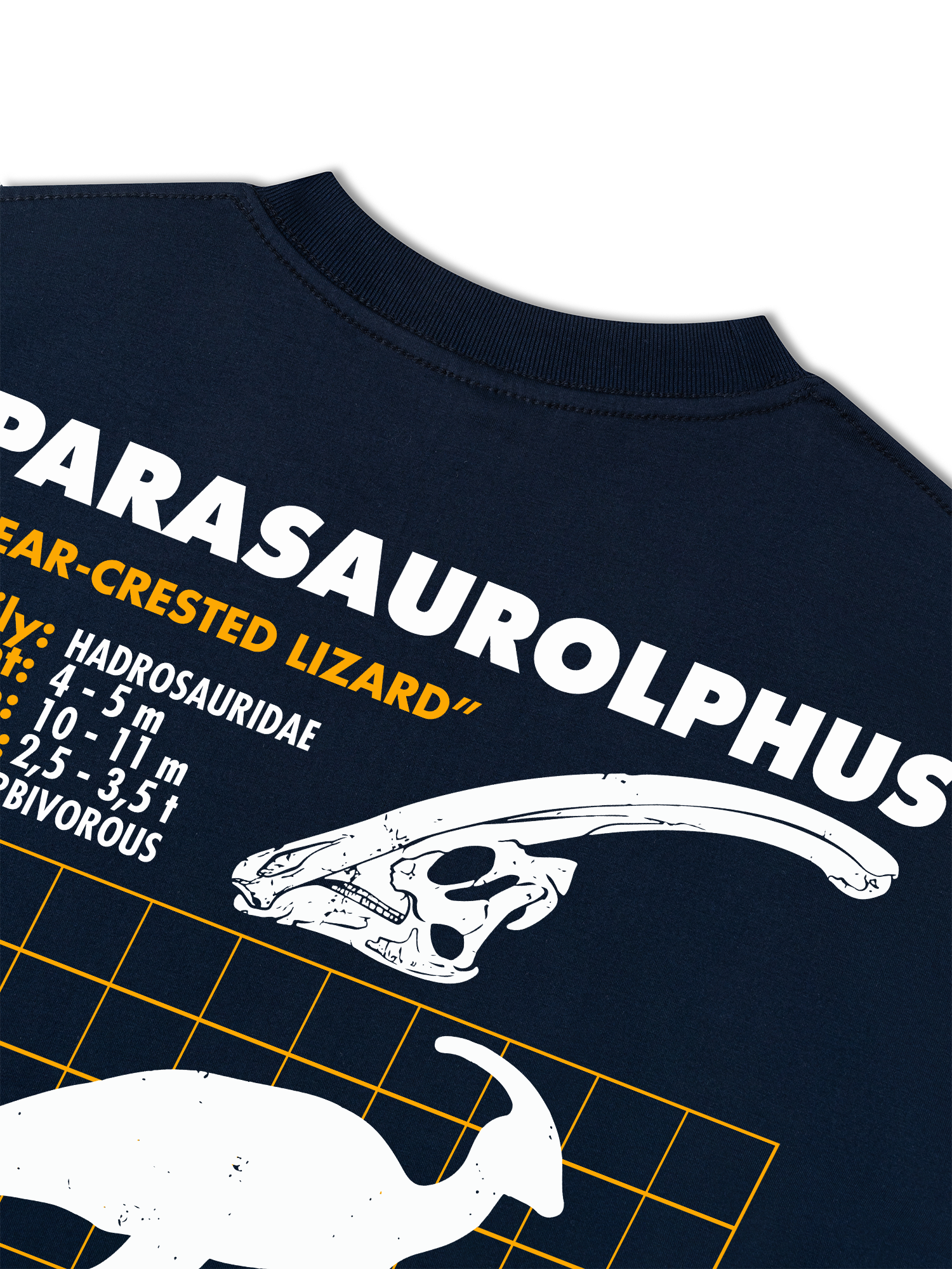 Áo Thun Relaxed Fit Wild Life Analysis Table Parasaurolphus