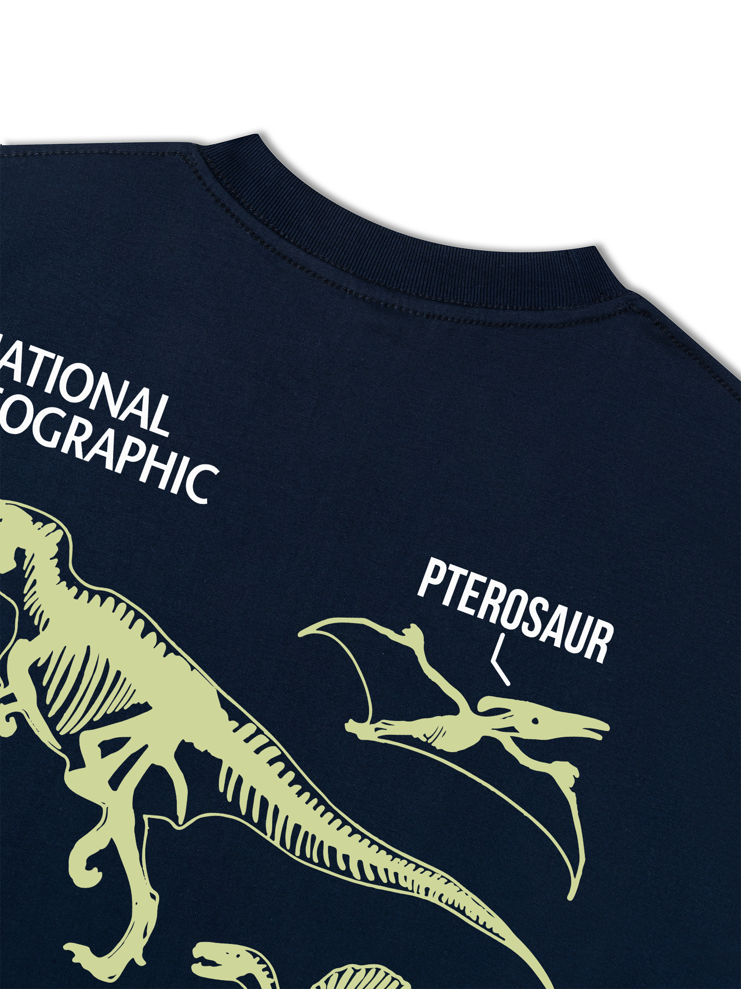 Áo Thun Relaxed Fit Wild Life World Of Dino