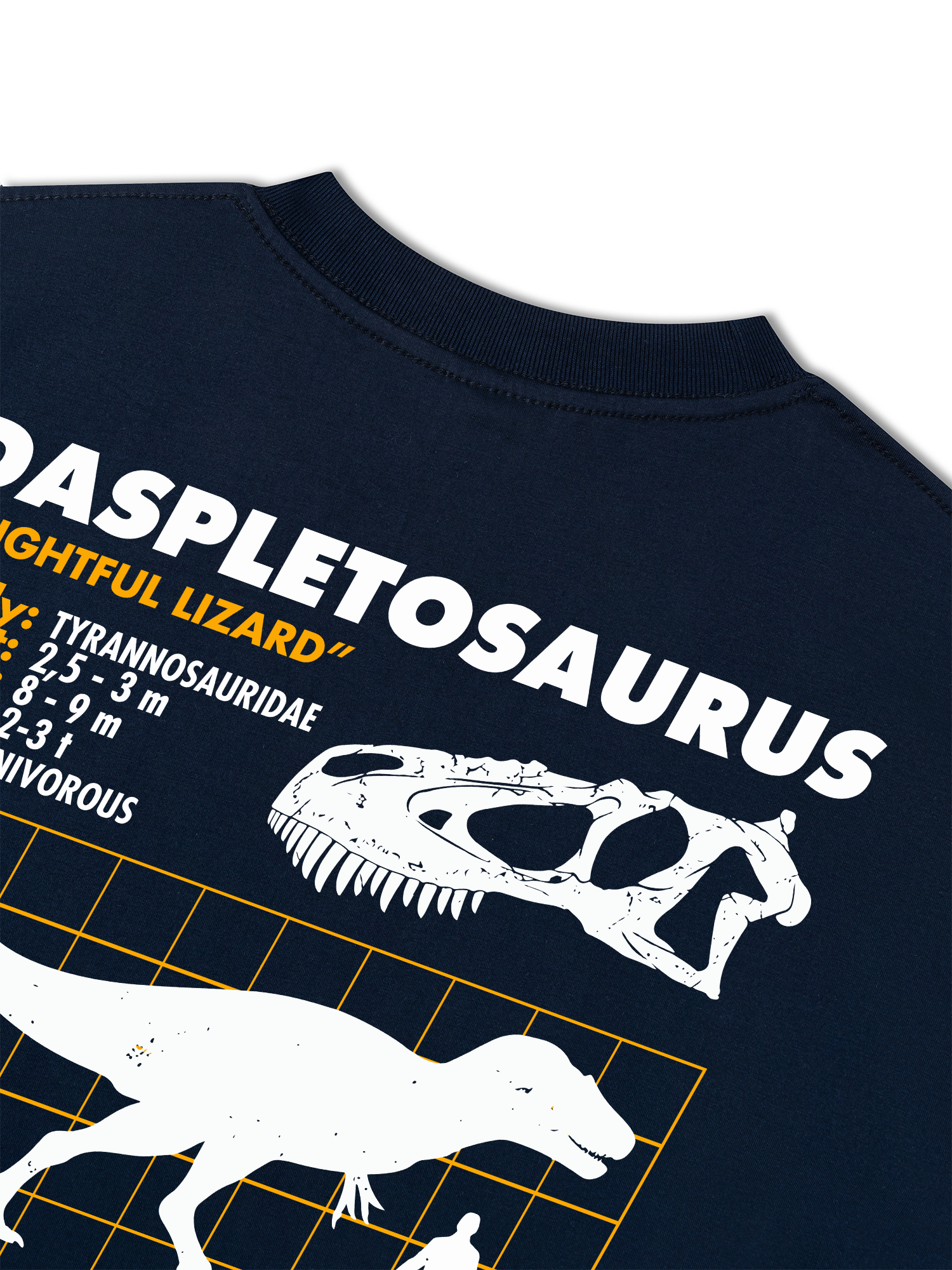 Áo Thun Relaxed Fit Analysis Table Daspletosaurus