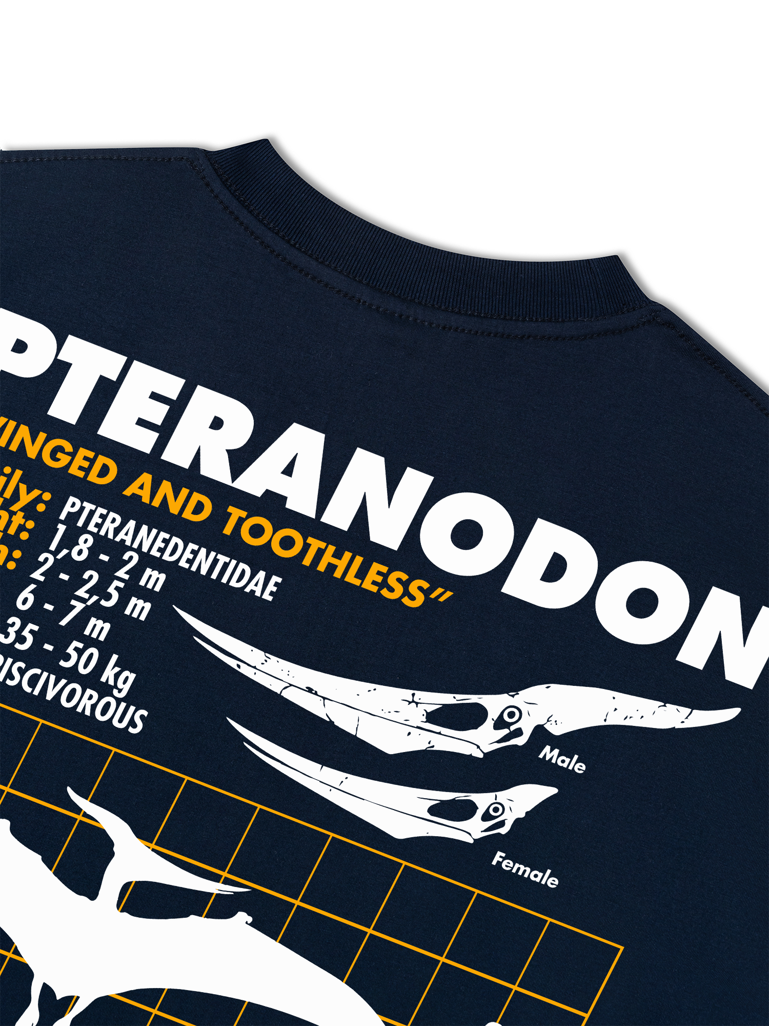 Áo Thun Relaxed Fit Wild Life Analysis Table Pteranodon